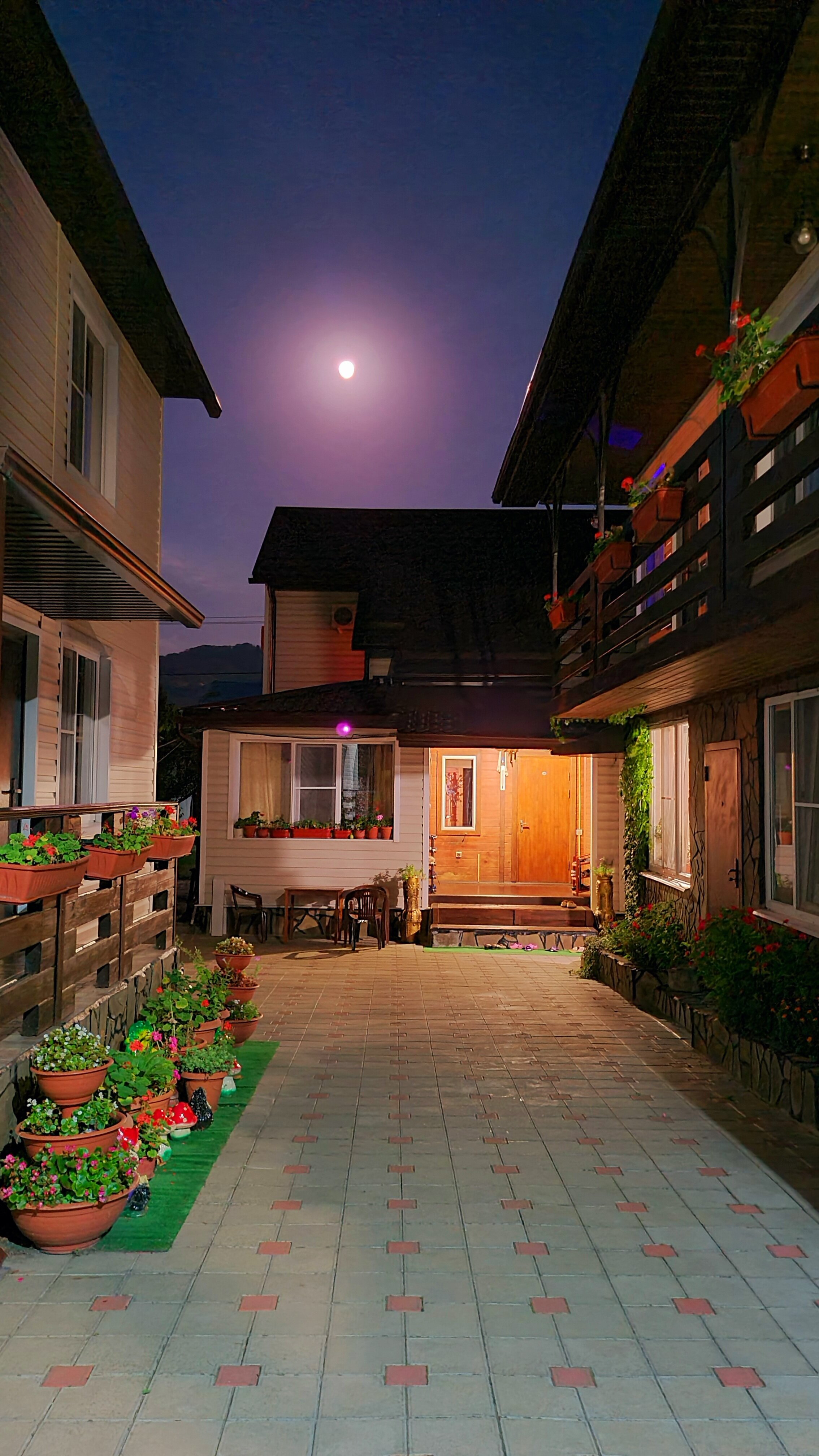 Фото Киркоров Сити