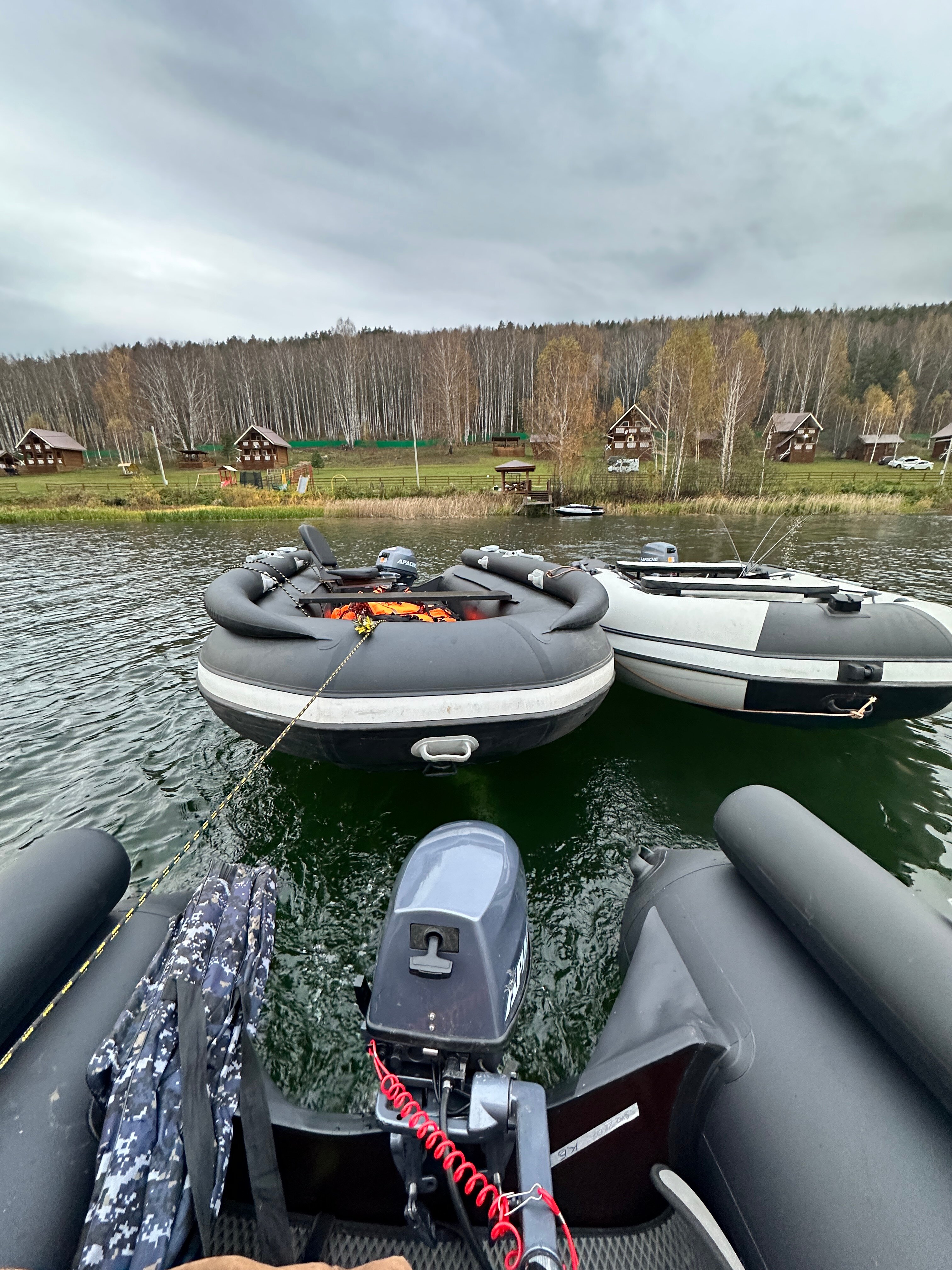 Фото Прилесье