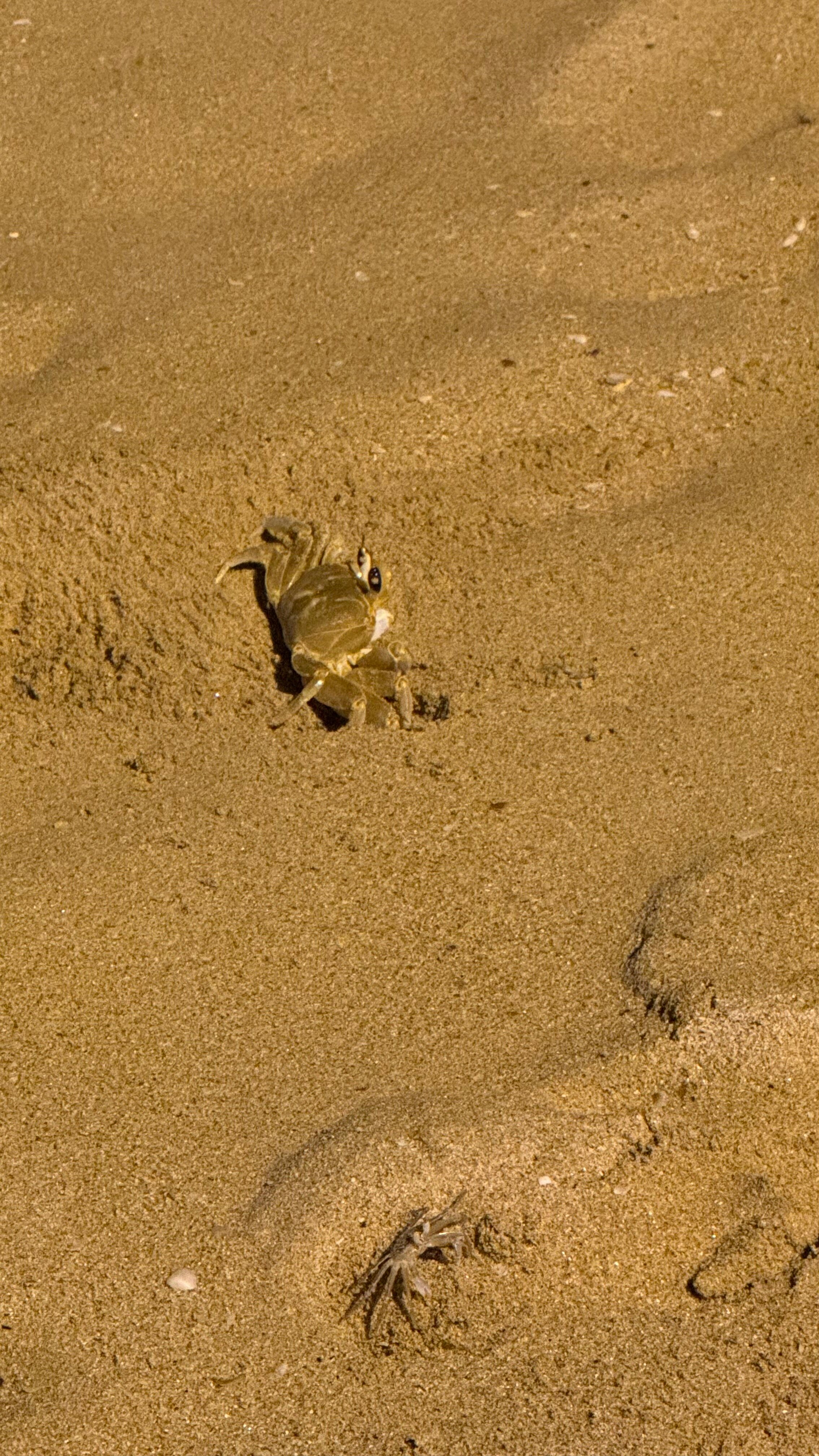 Фото W15 Weligama