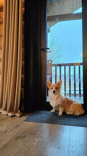 Дом отдыха Легенды леса в Угличе