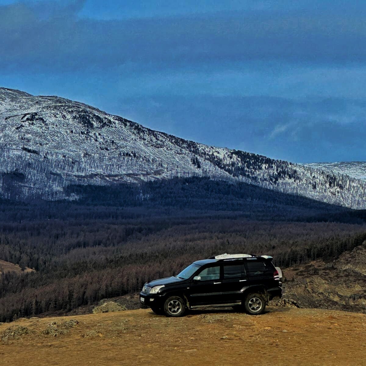 Фото Зелёный колобок