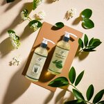 Natural Forever Soap & Hair Care Products Trading (AJD Building, Umm Ramool, Deira, Dubai), personal hygiene products