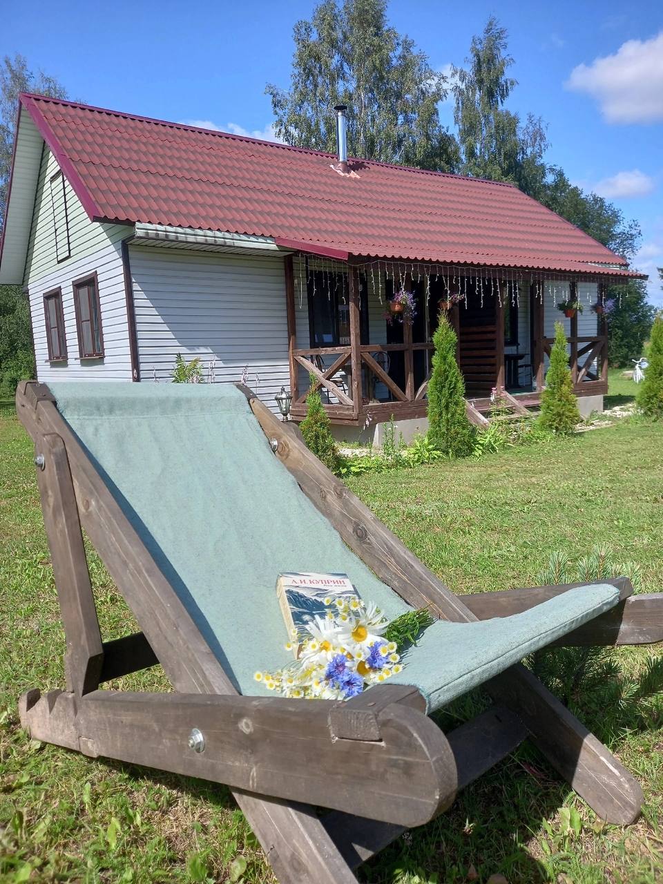 Фото Сосновая роща