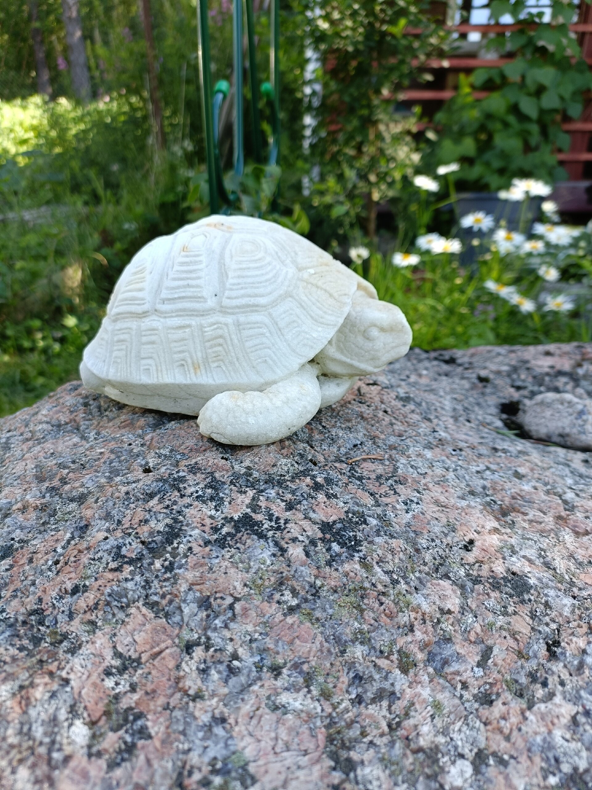 Фото Твой другой воздух - коттедж Юпитер