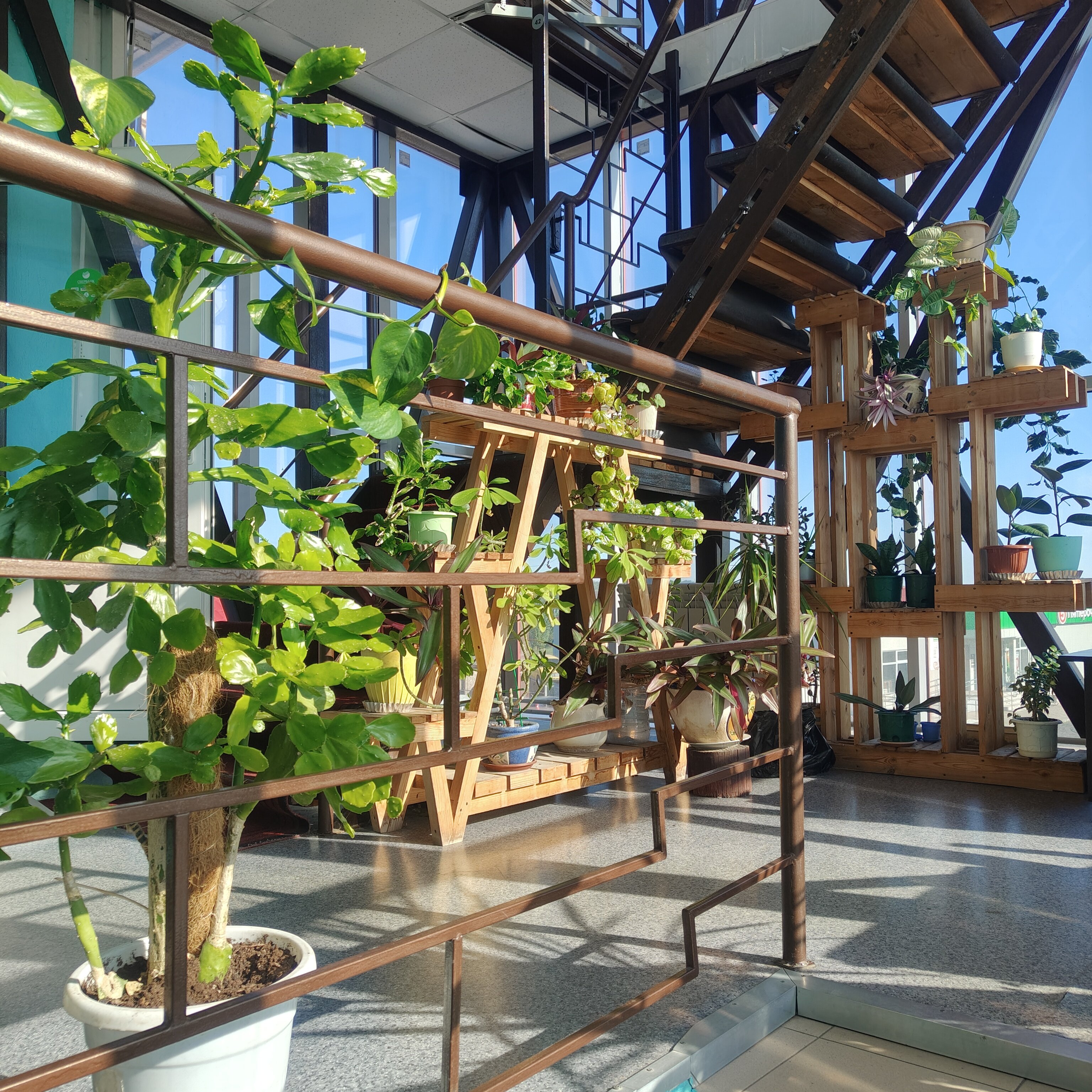 Фото Автопорт Маяк