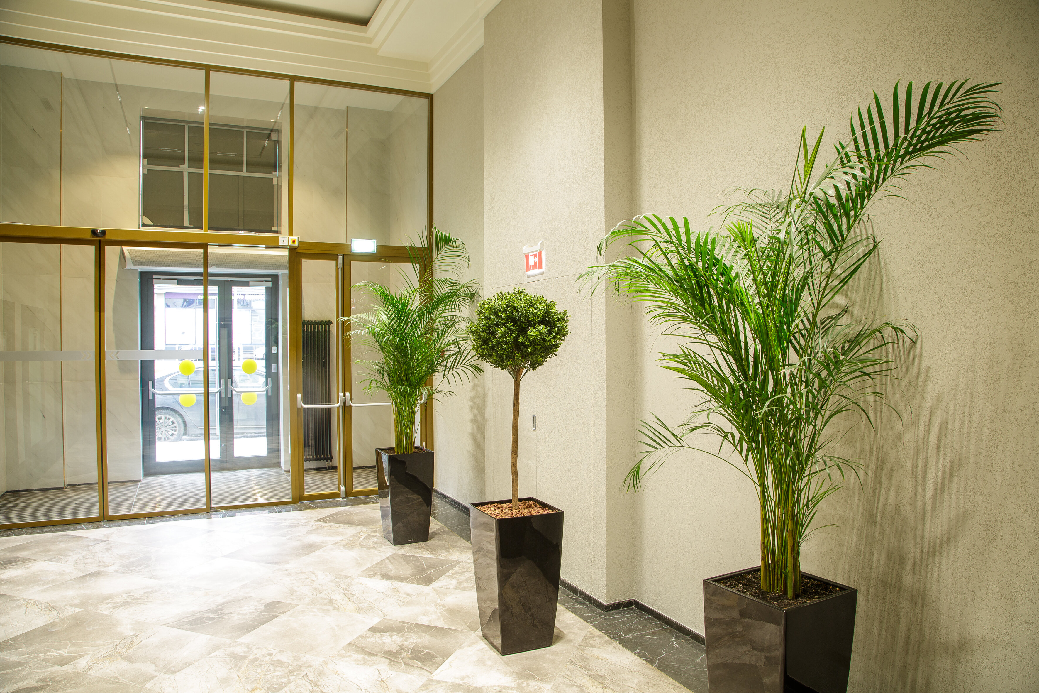 Фото Stellar Tower