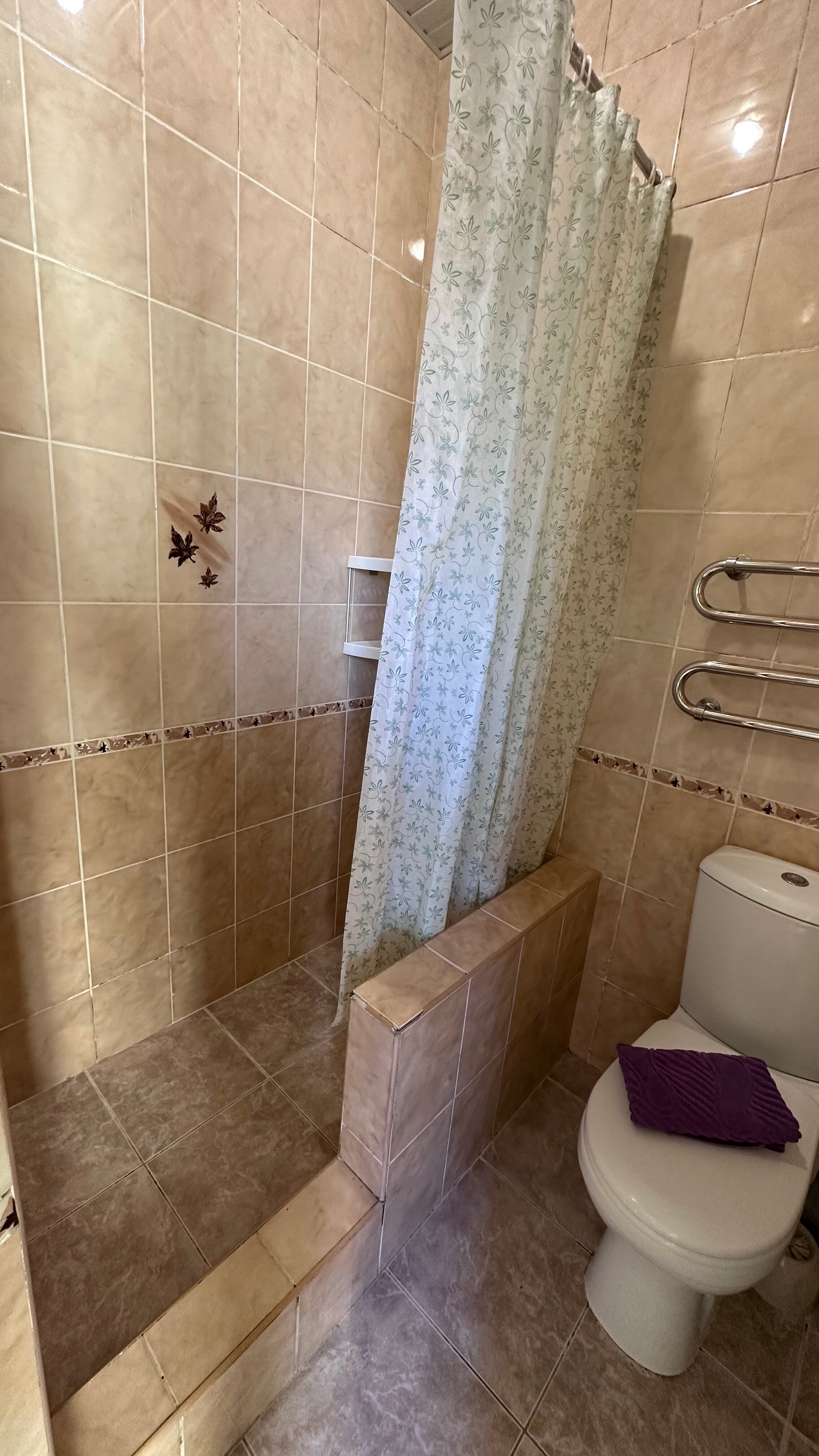 Фото Орхидея