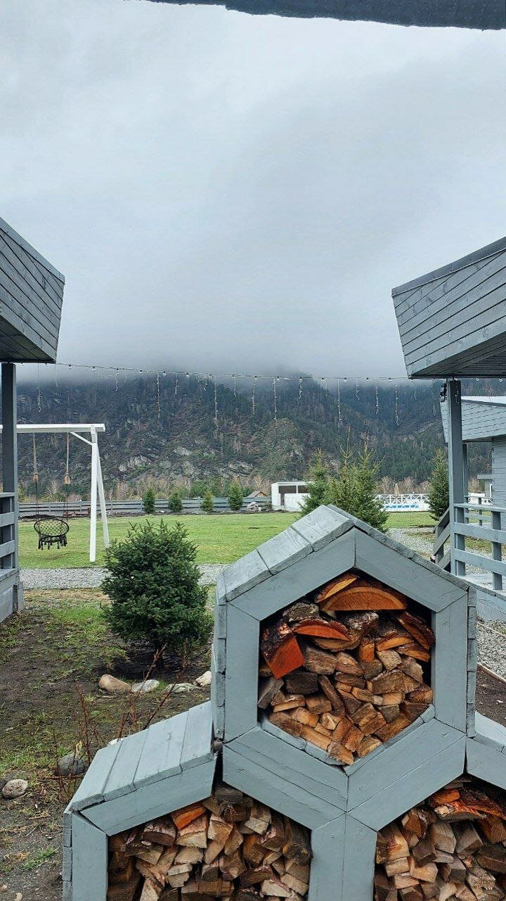 Фото Алтай Лотос