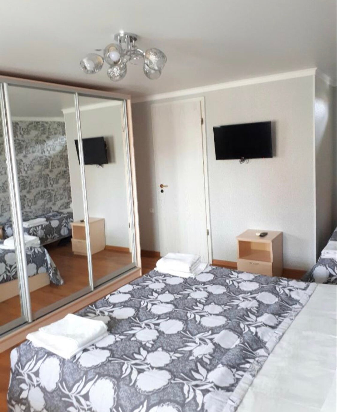 Фото Кипарис