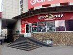 Федерация тхэквондо МФТ (Mira Avenue, 98к1), club deportivo, sección