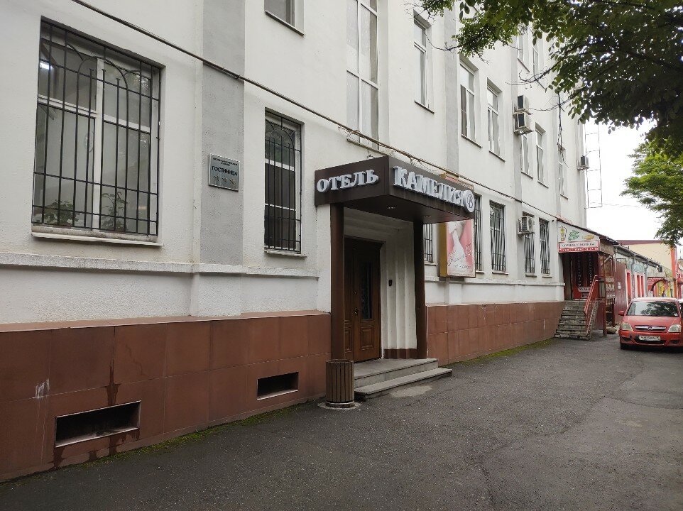 Фото Камелия-В