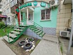 Nur Pharm (Ǵaryshker kóshesi, 10), farmacia