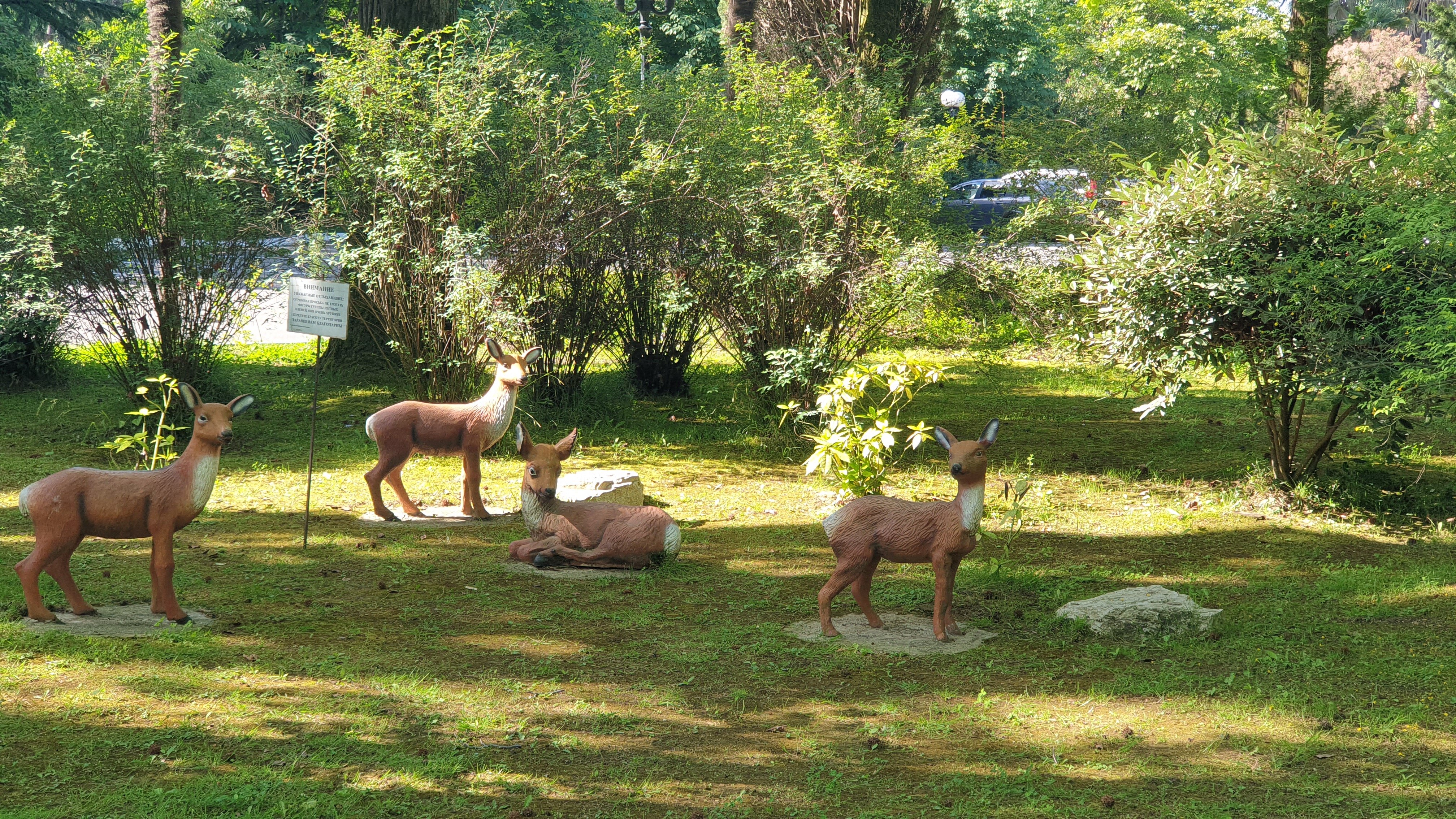 Фото Беларусь