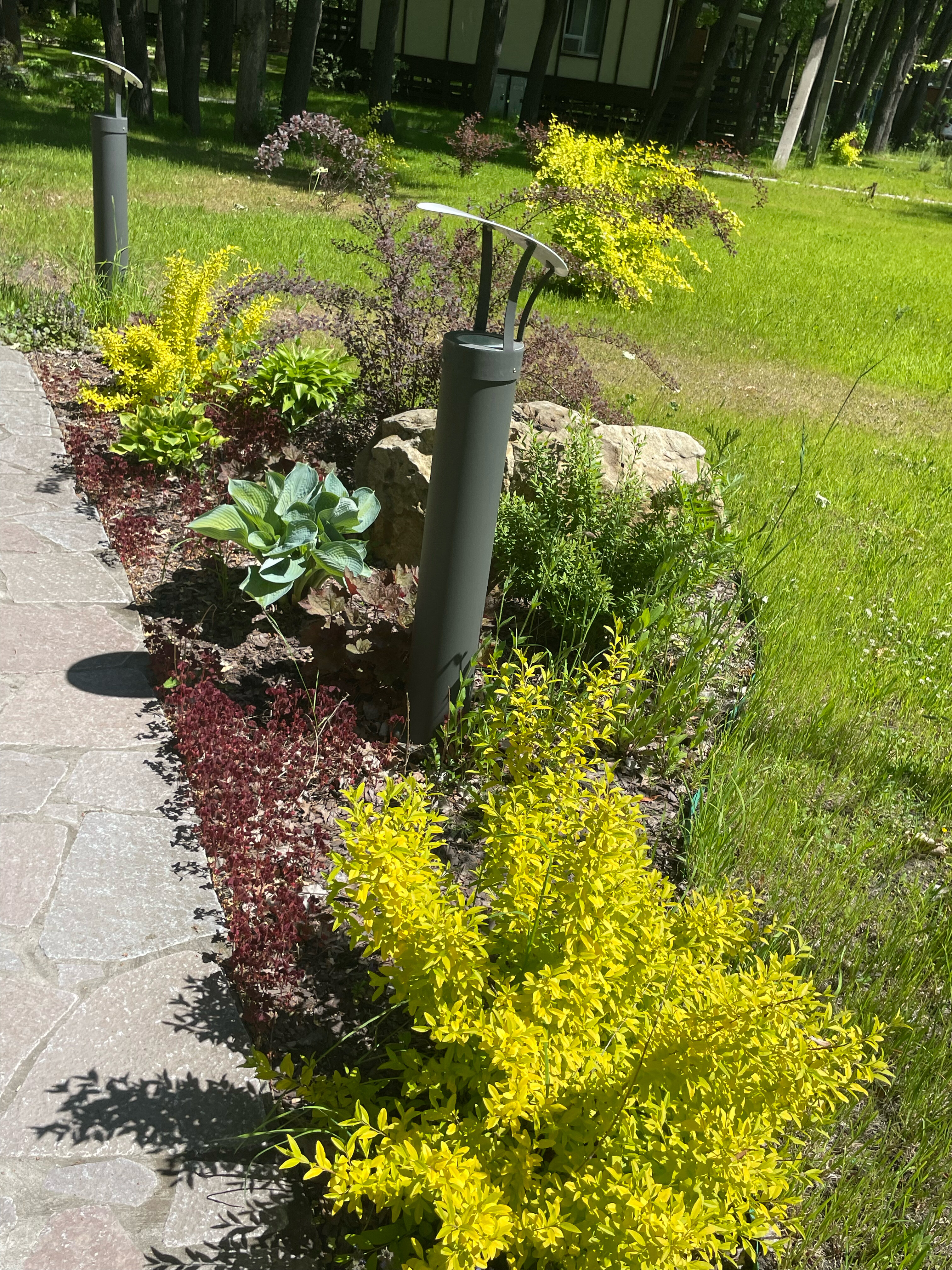 Фото Алымов