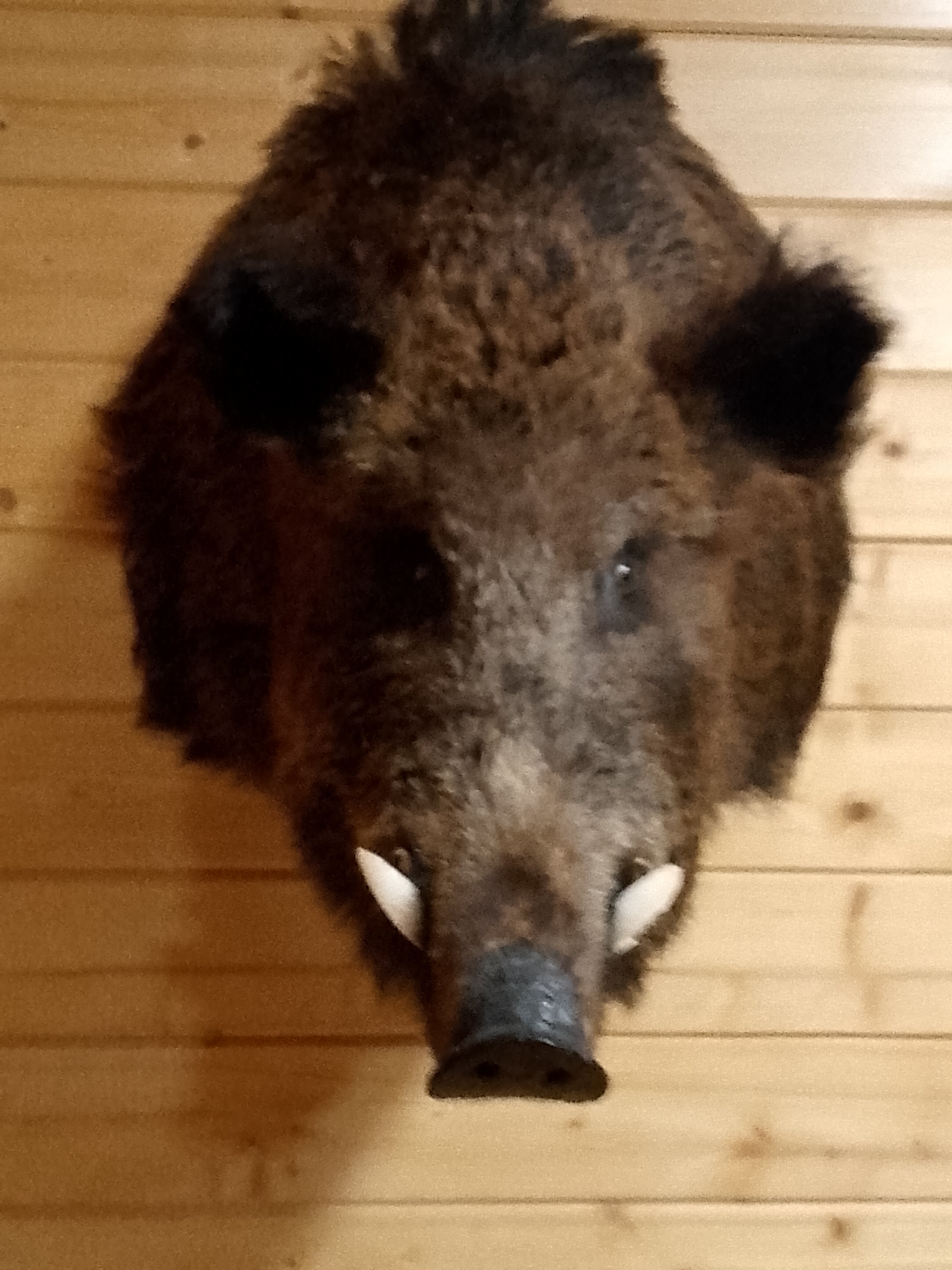 Фото Сахалин