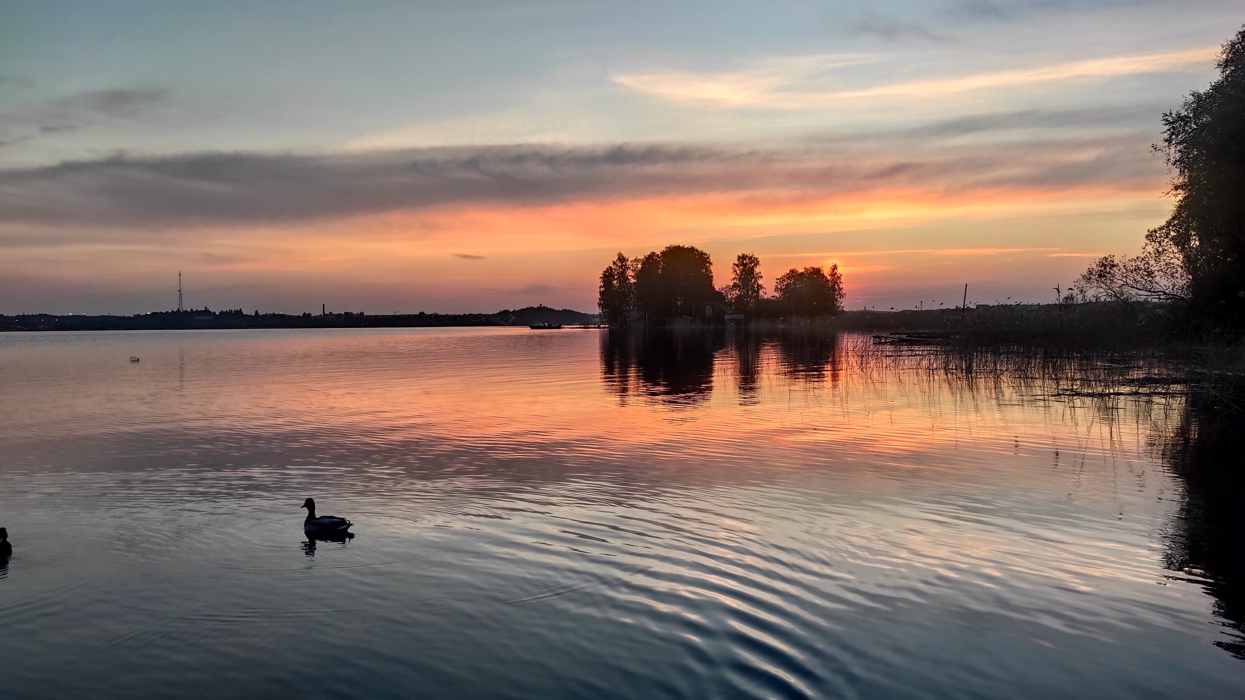 Фото Ботхаус