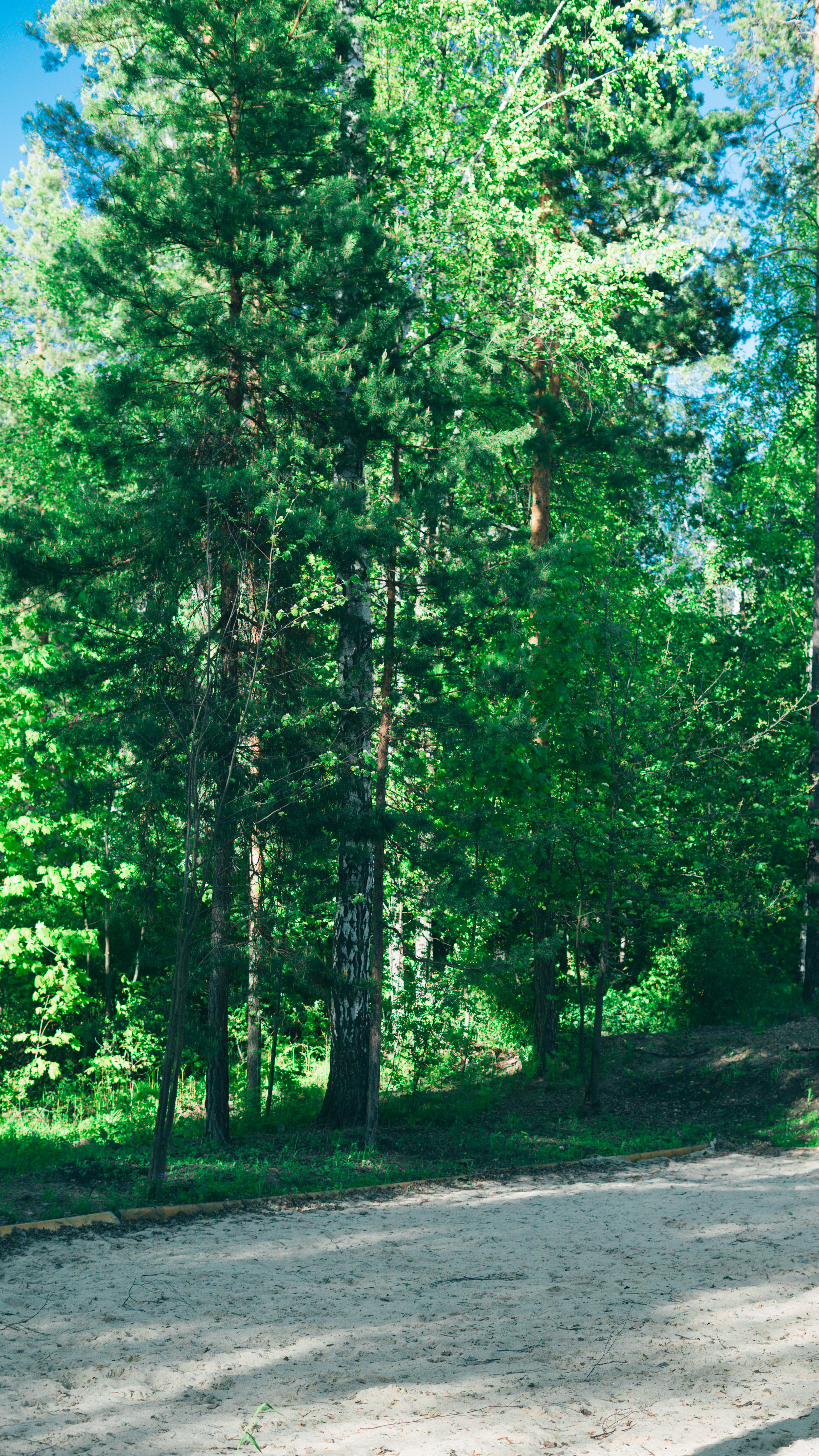 Фото Слобода