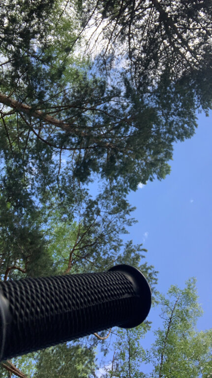 Фото Белая сова