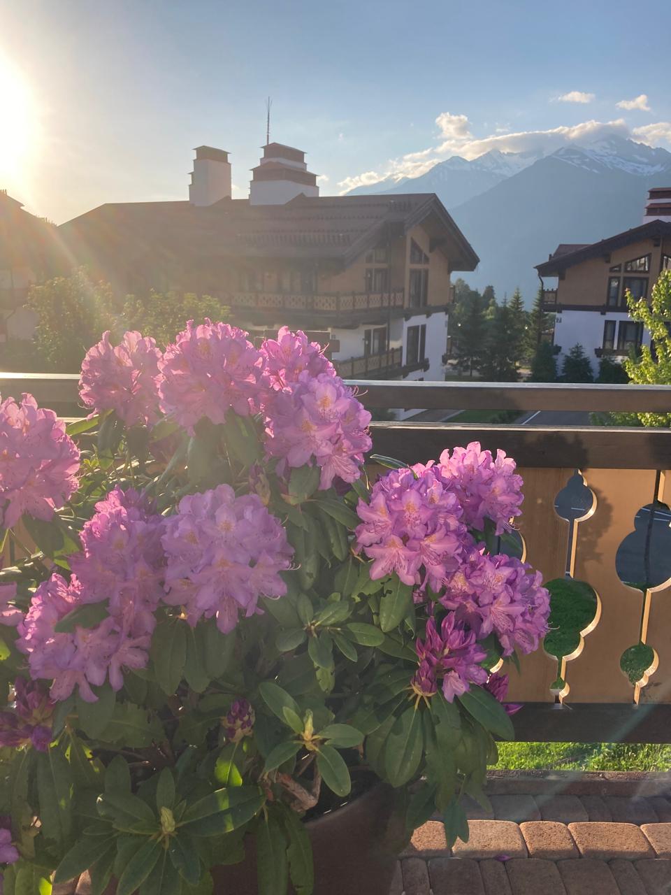 Фото Поляна 1389 Отель и СПА