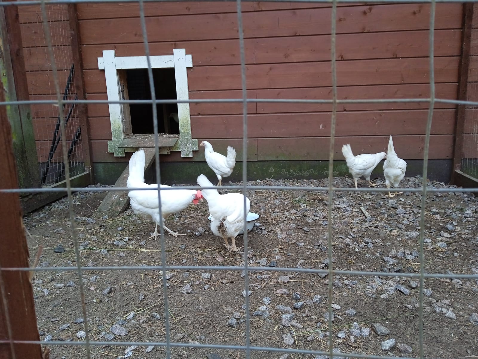 Фото Усадьба на Шамокше