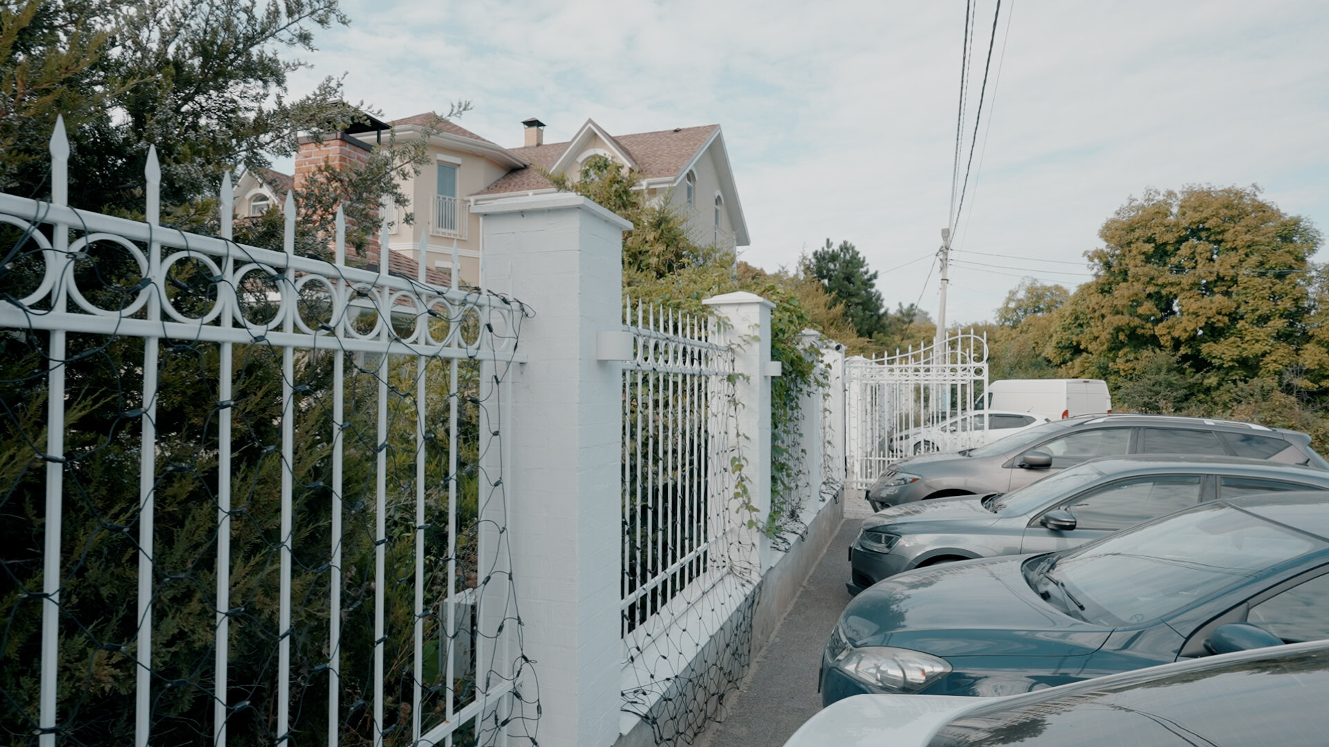 Фото Лаванда