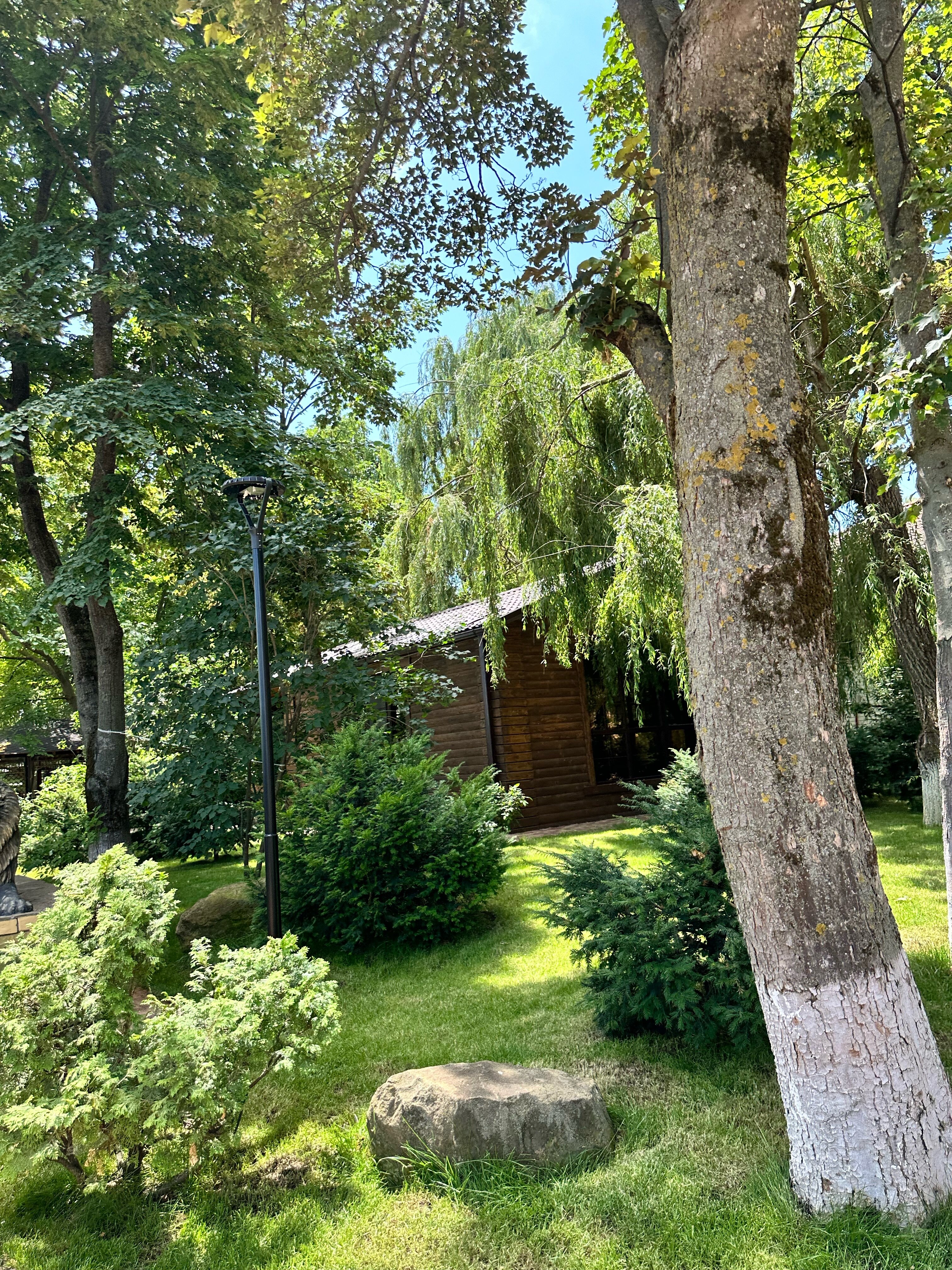 Фото Лесная сказка