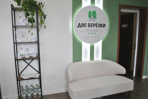 Две берёзки