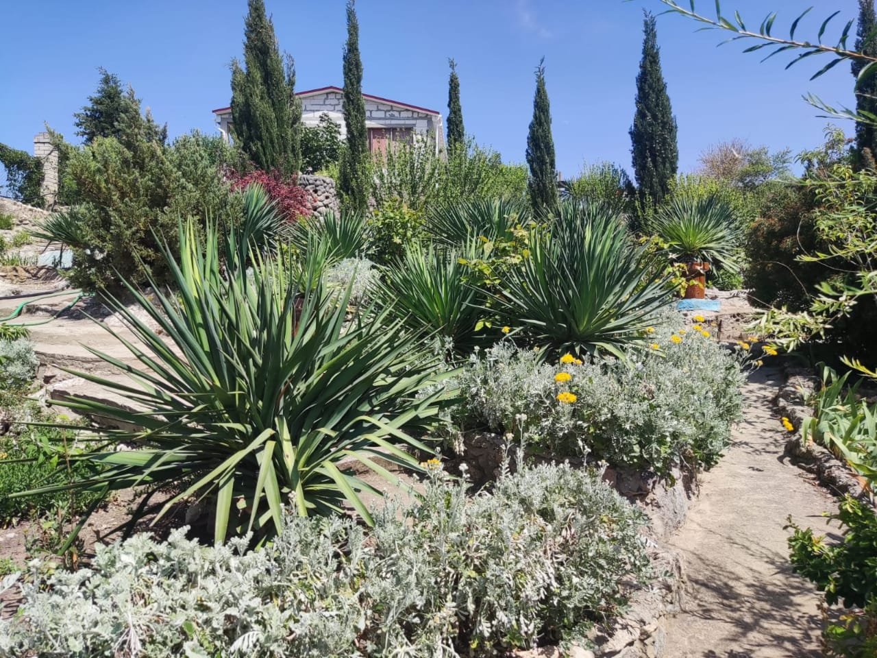 Фото Регата