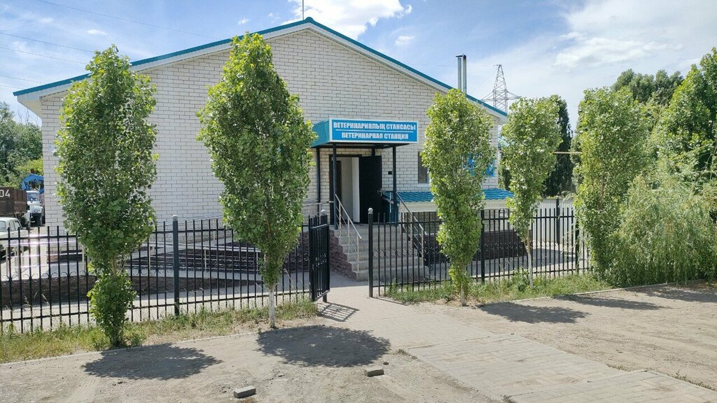 عيادة بيطرية Gorodskaya veterinarnaya stantsiya ، ، صورة