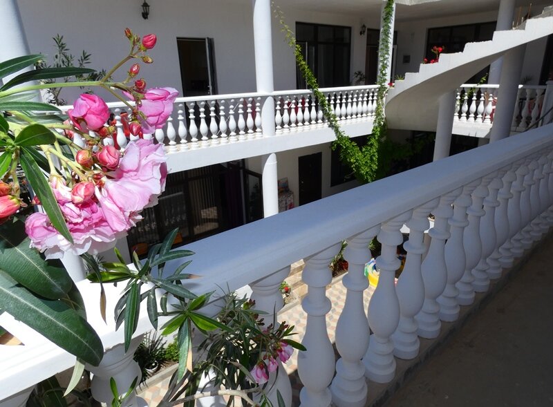 Фото Алладин