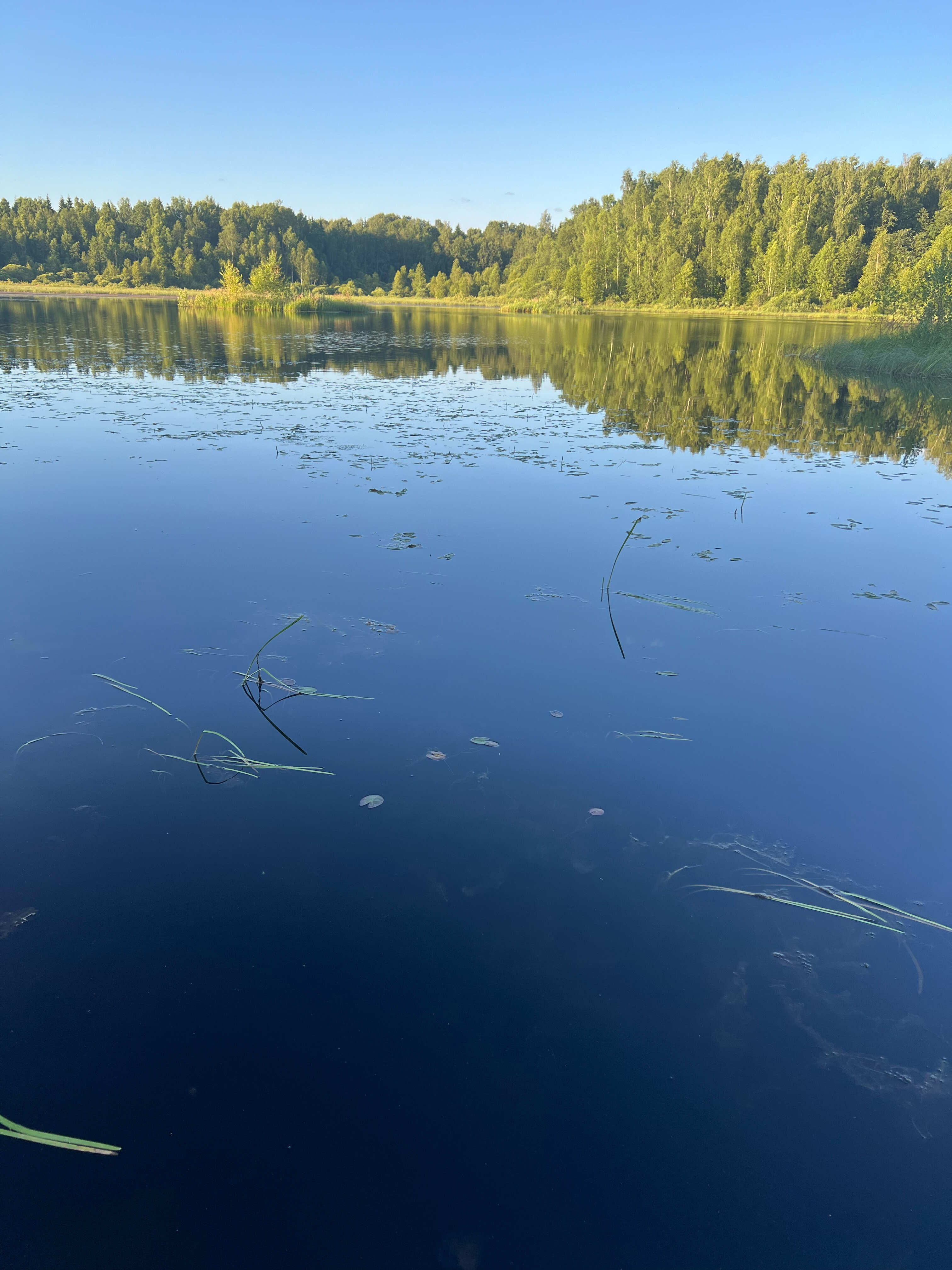 Фото Михеево Старт