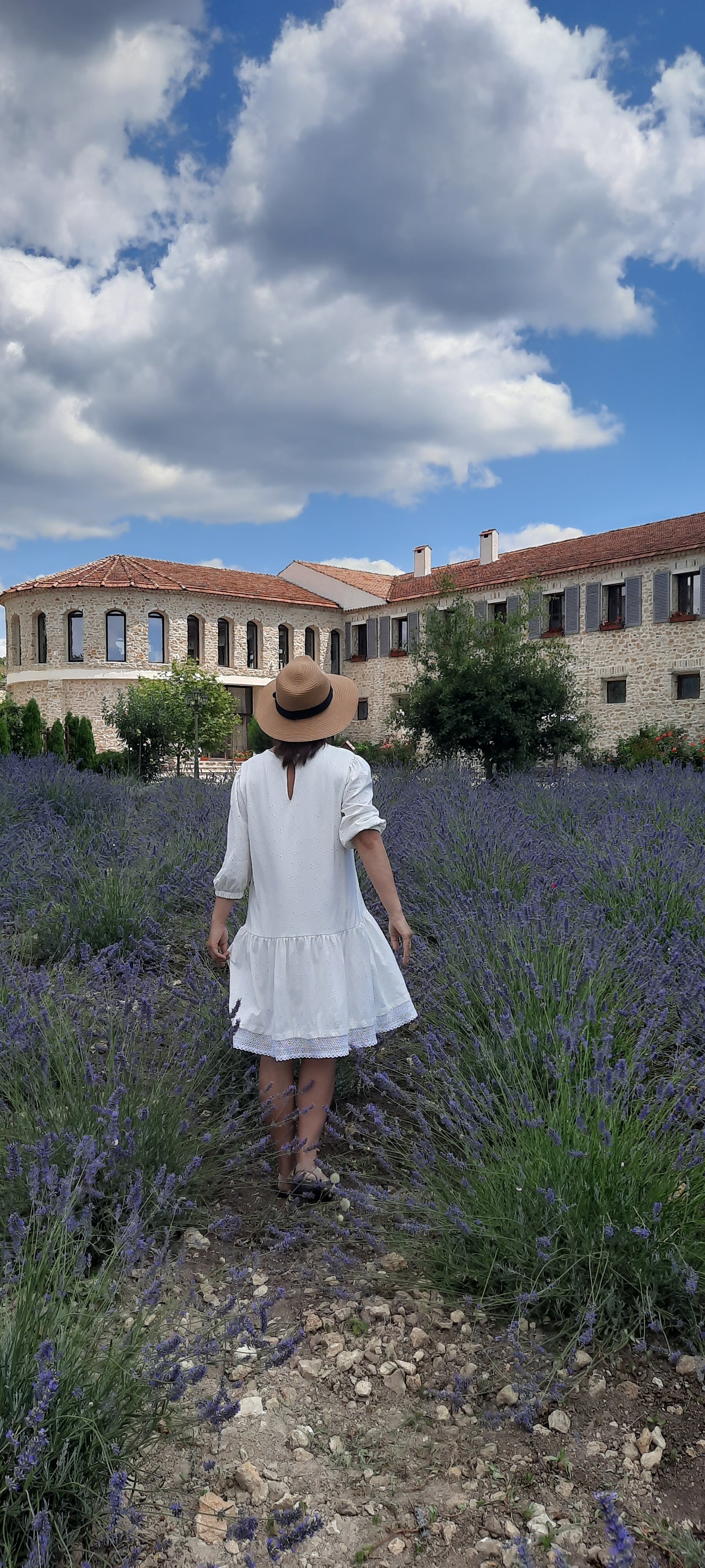 Фото Шато Андре