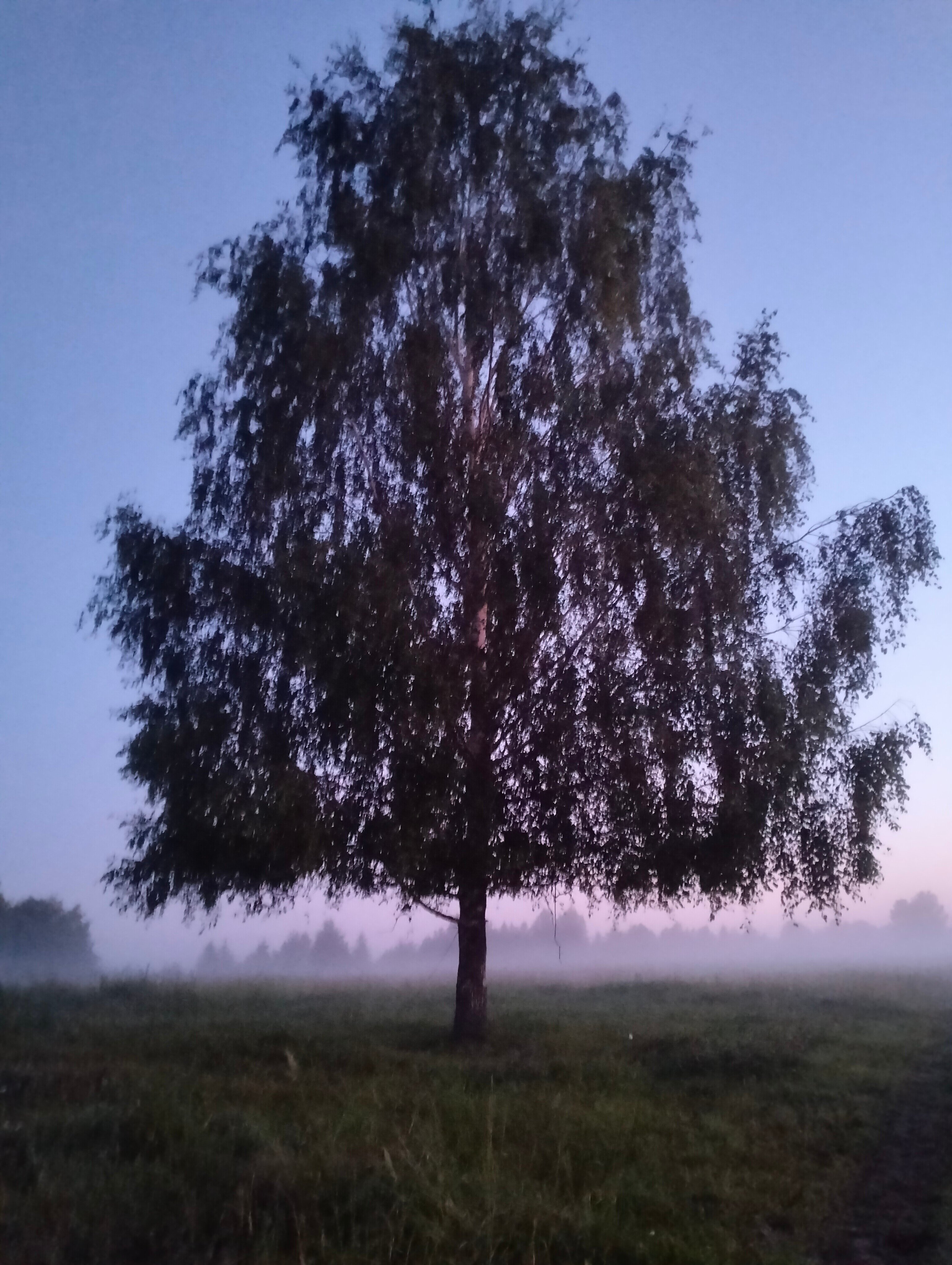 Фото Кузьмадино
