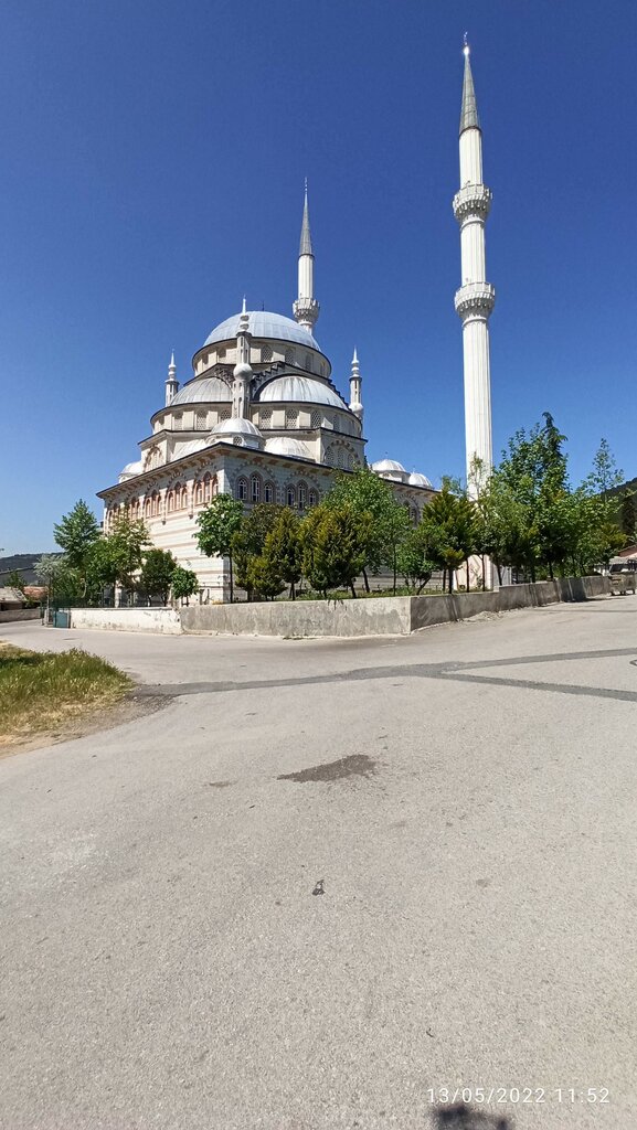 Mosque Merkez Cami, Istanbul, photo