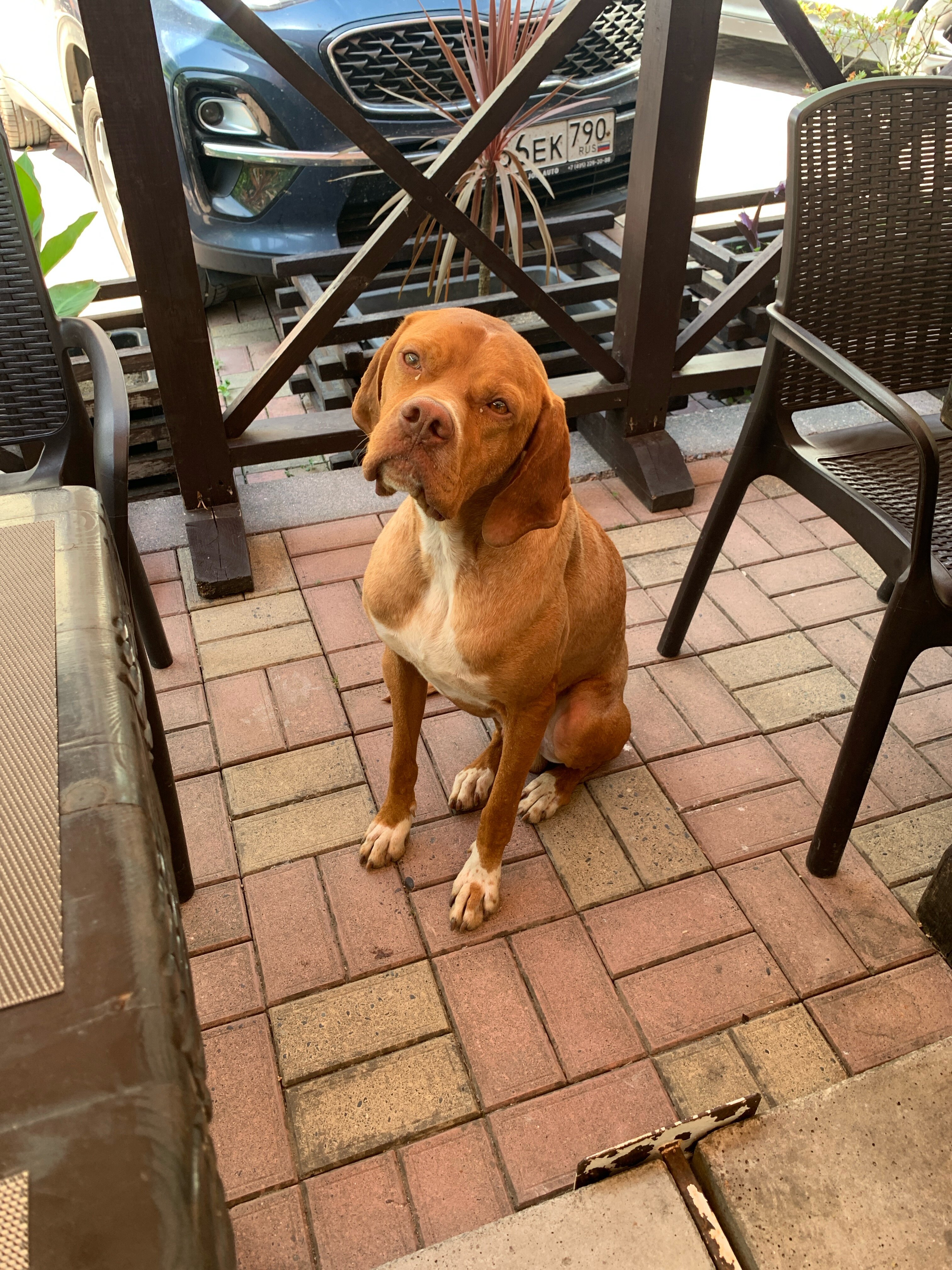 Фото Вилла Леона