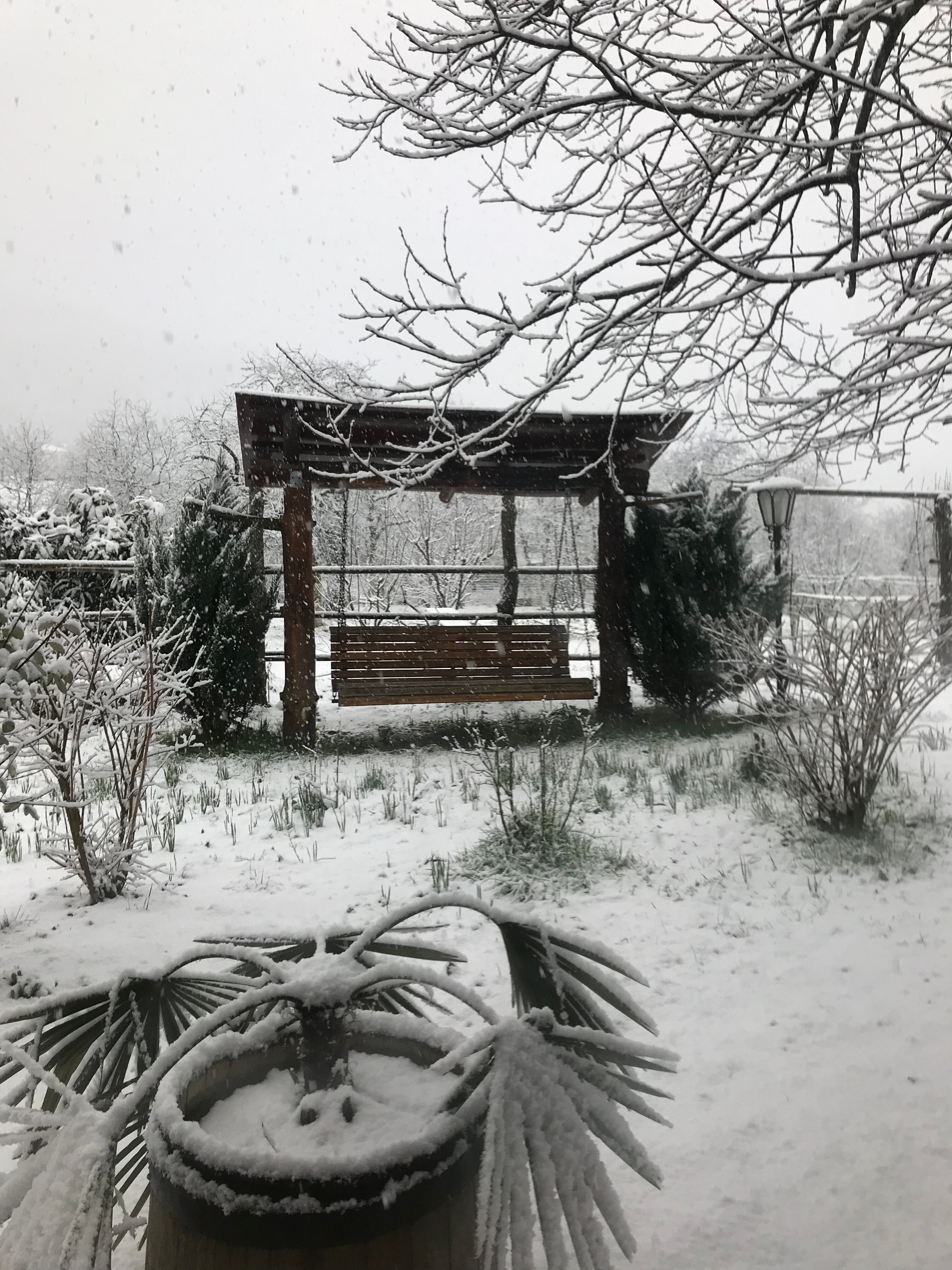 Фото Бунгало