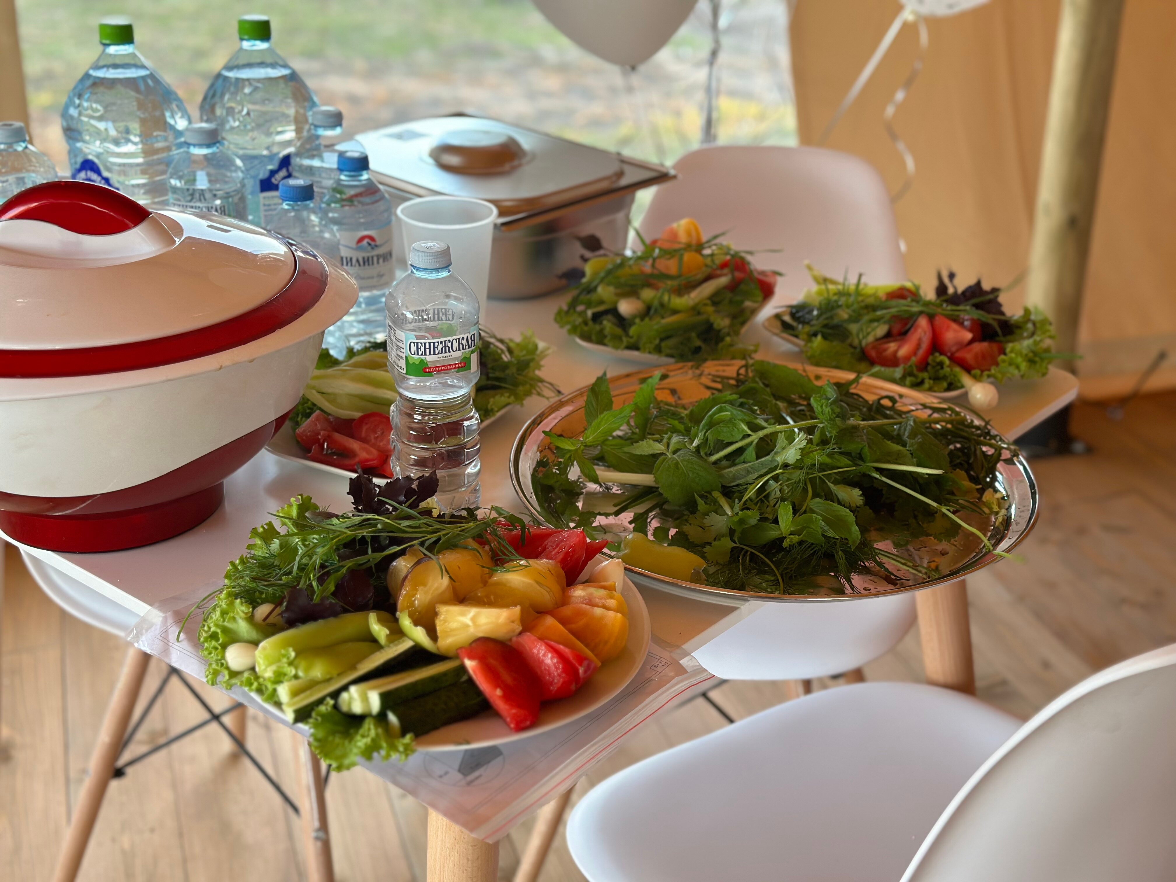 Фото Носороги