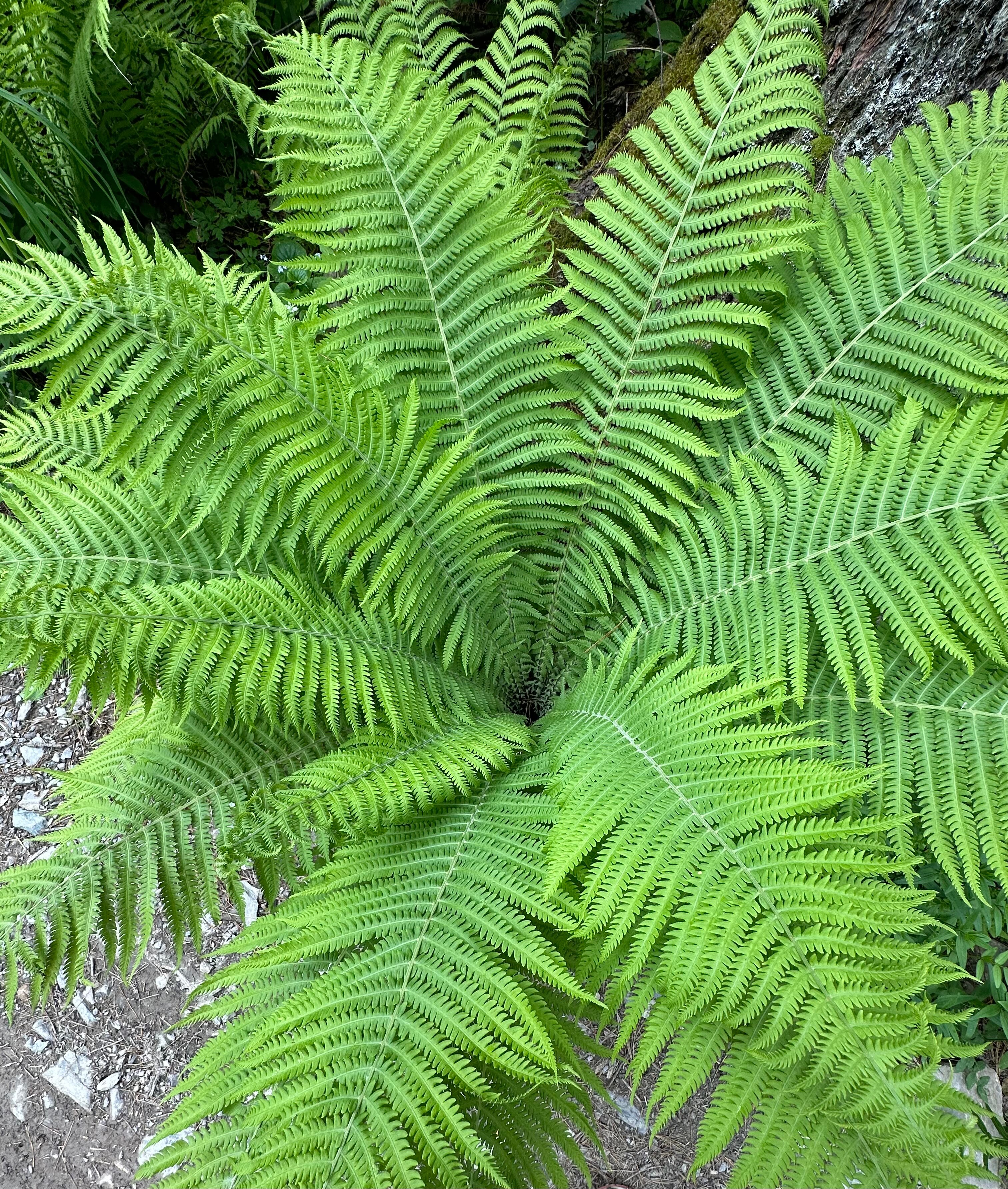 Фото Ойер Парк Отель