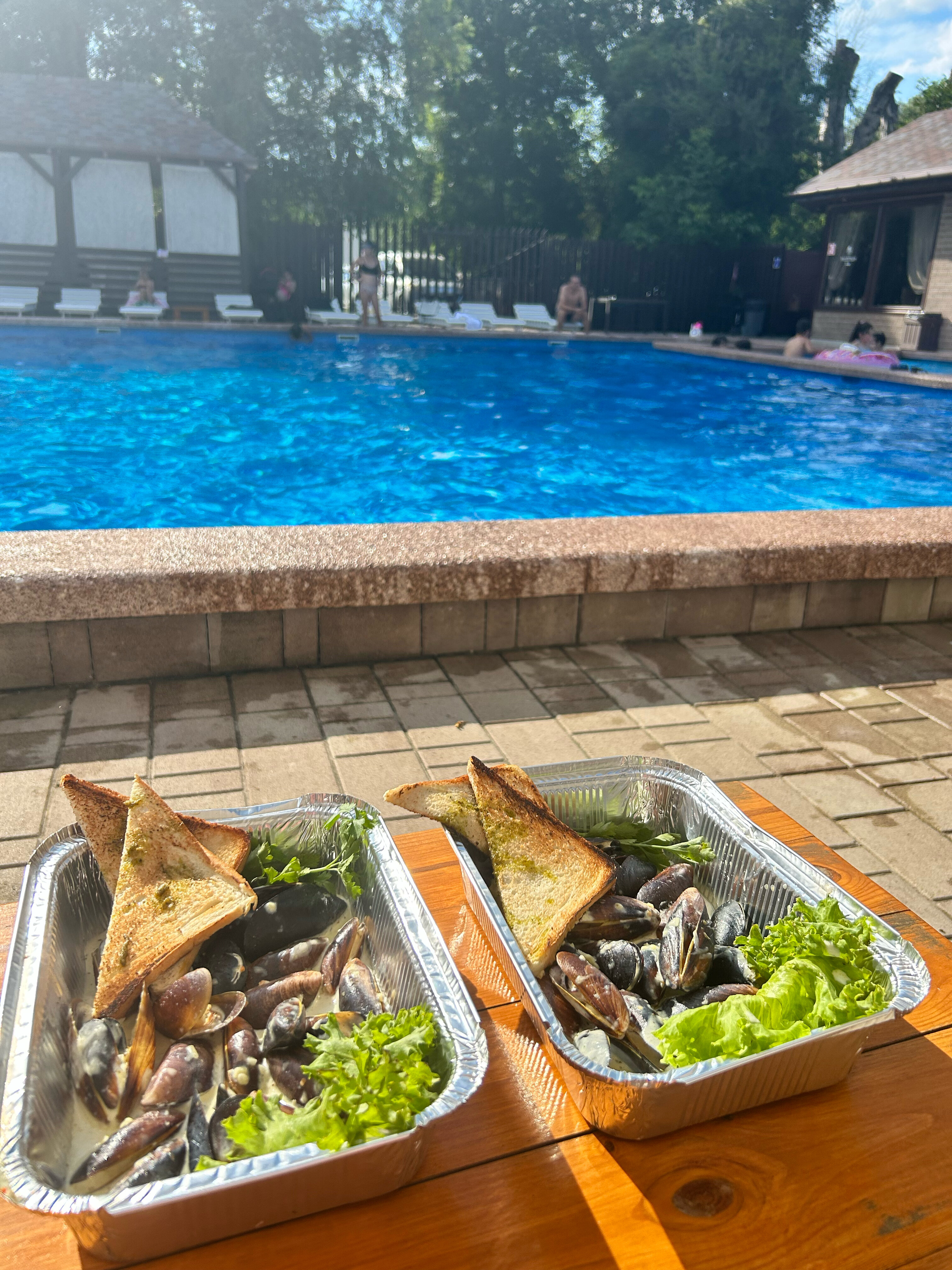 Фото Кипарис