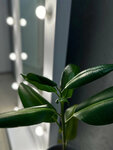 Studioforyou (prospekt Pobedy, 26А), eyebrow and eyelash salon