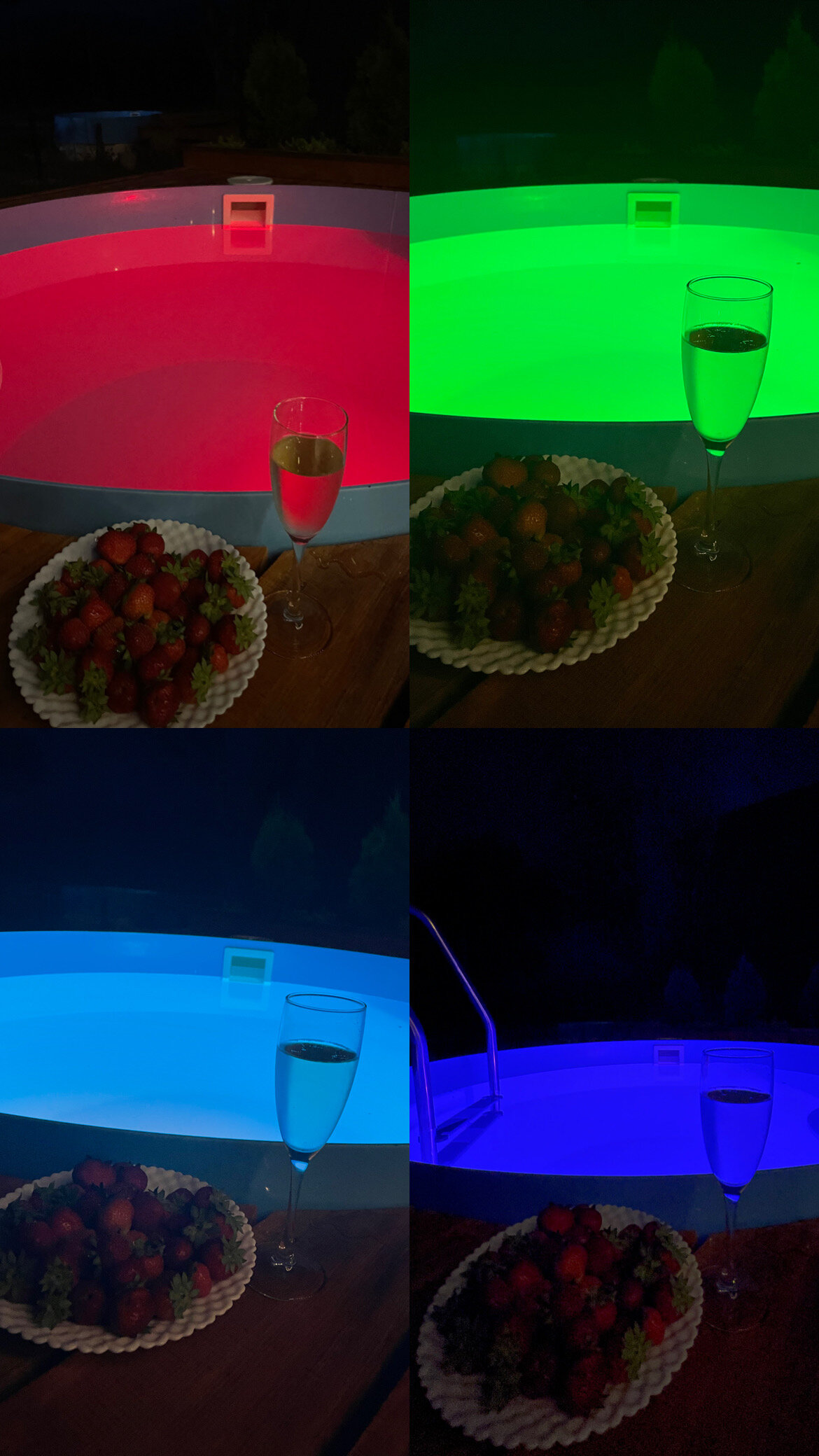 Фото Feshin Forest