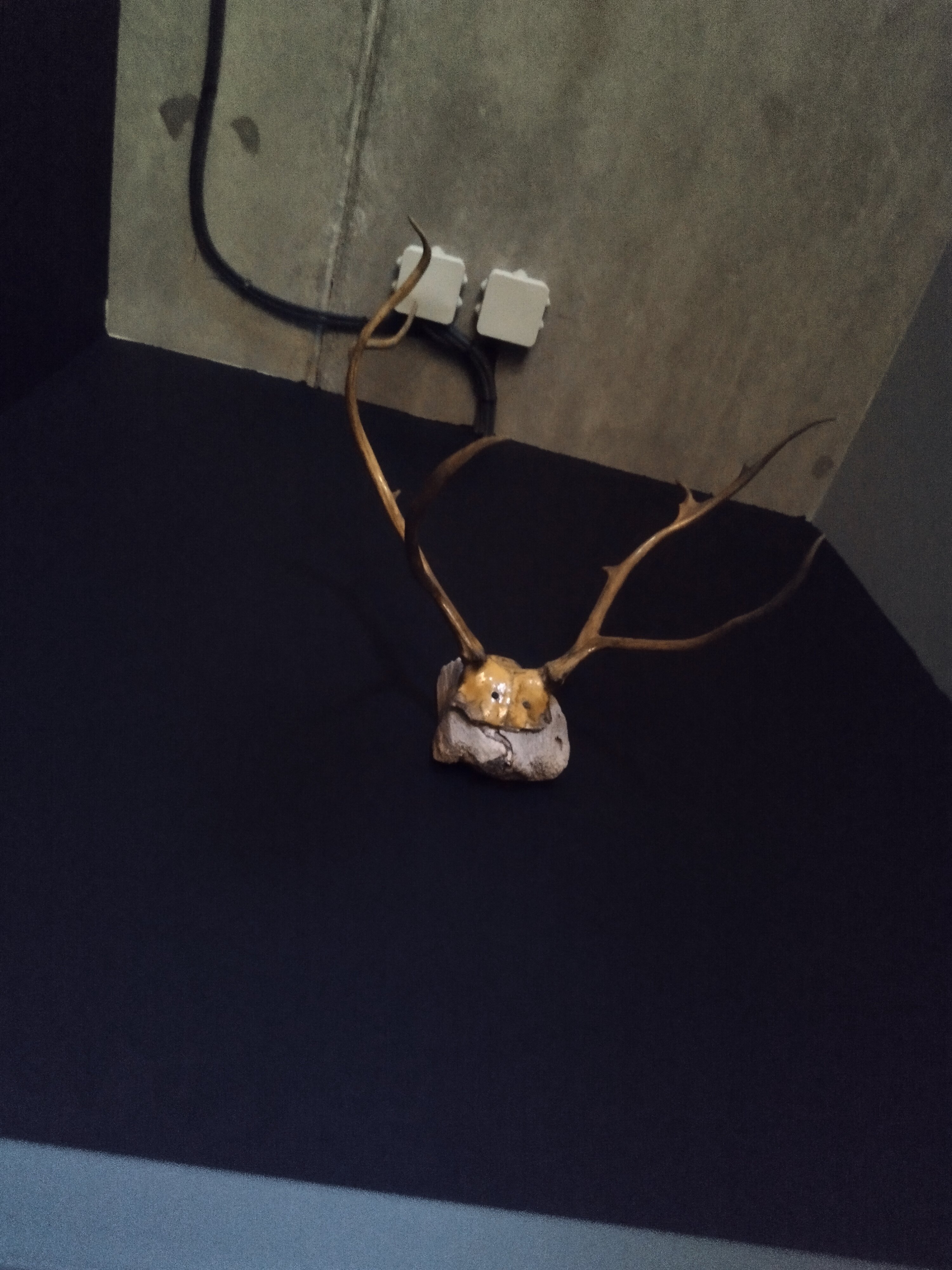 Фото Ягель Лофт