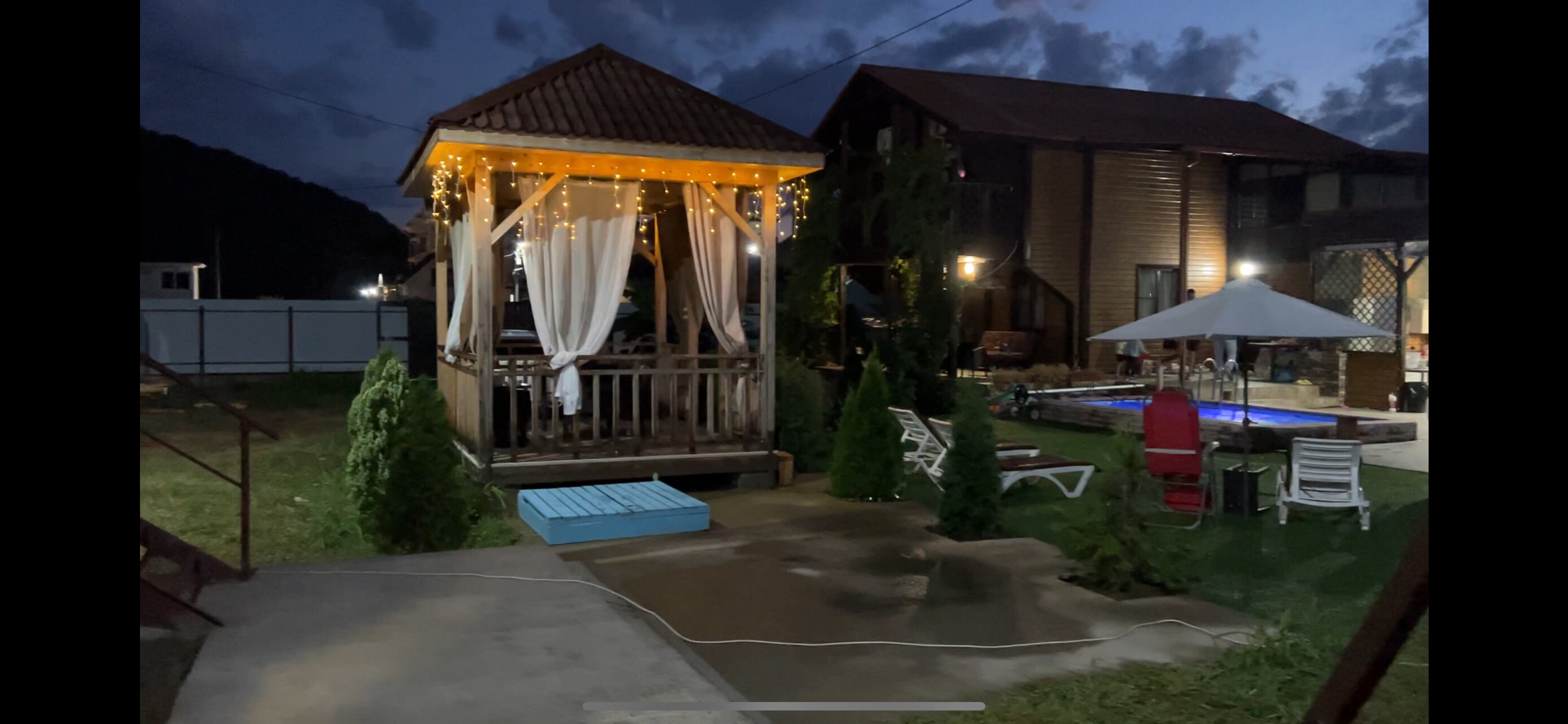 Фото Ежевика