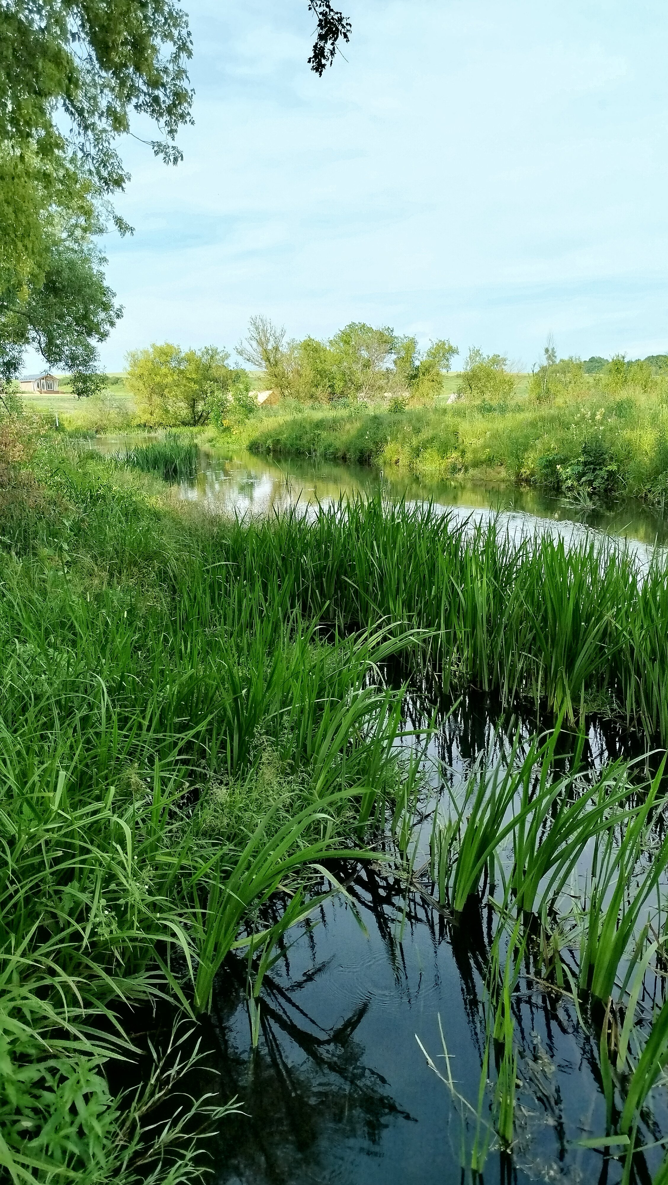 Фото Соты & Варенье