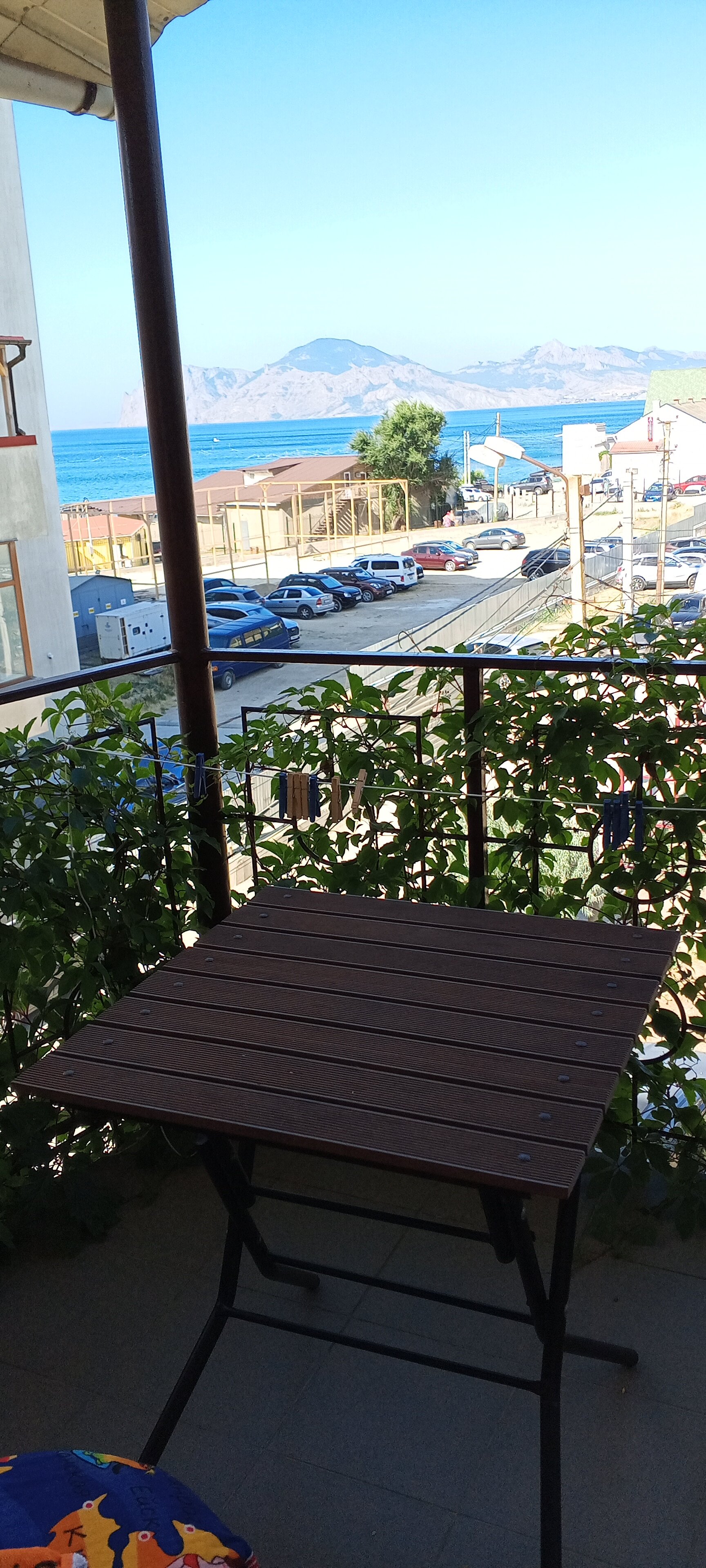 Фото Магнолия