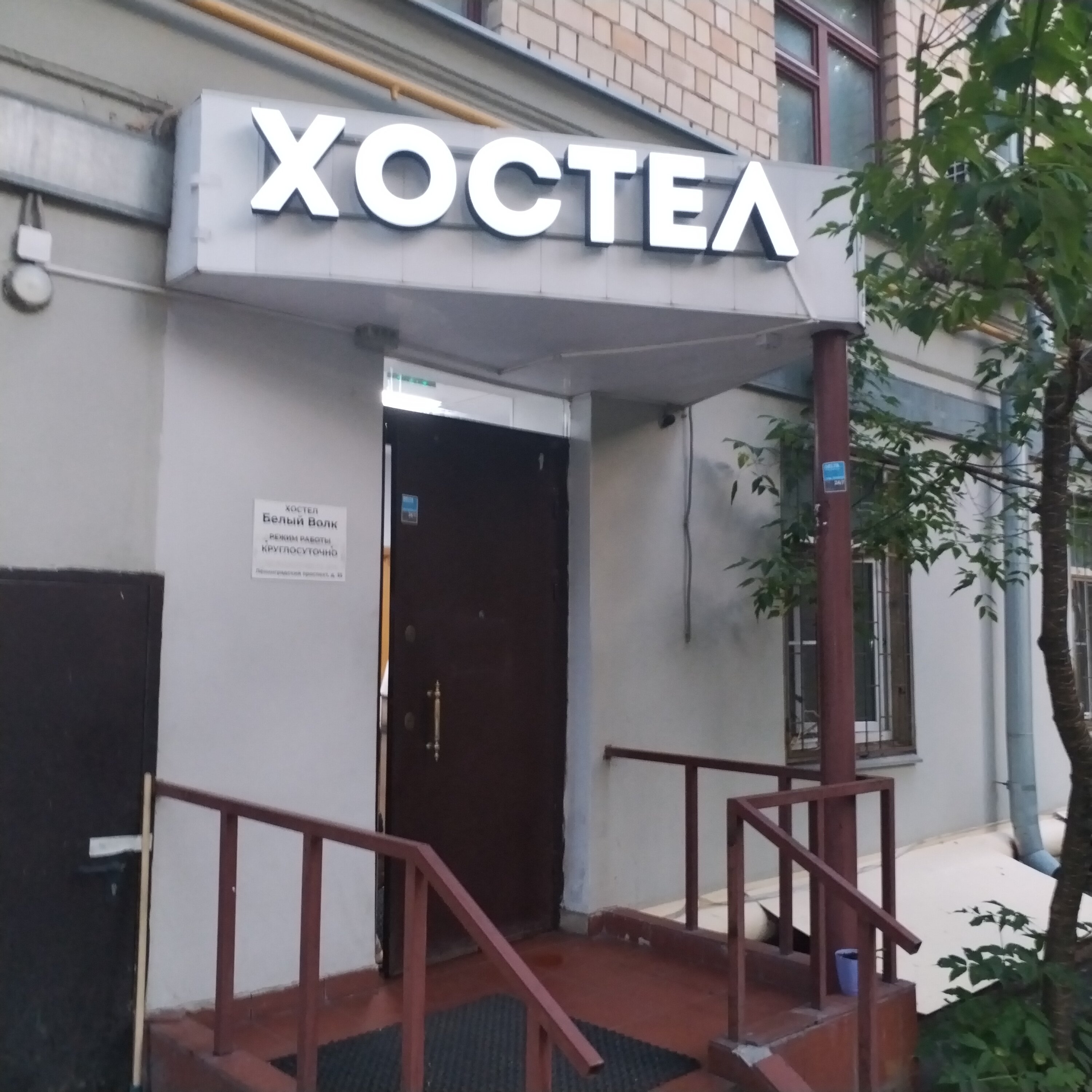 Фото Белый Волк