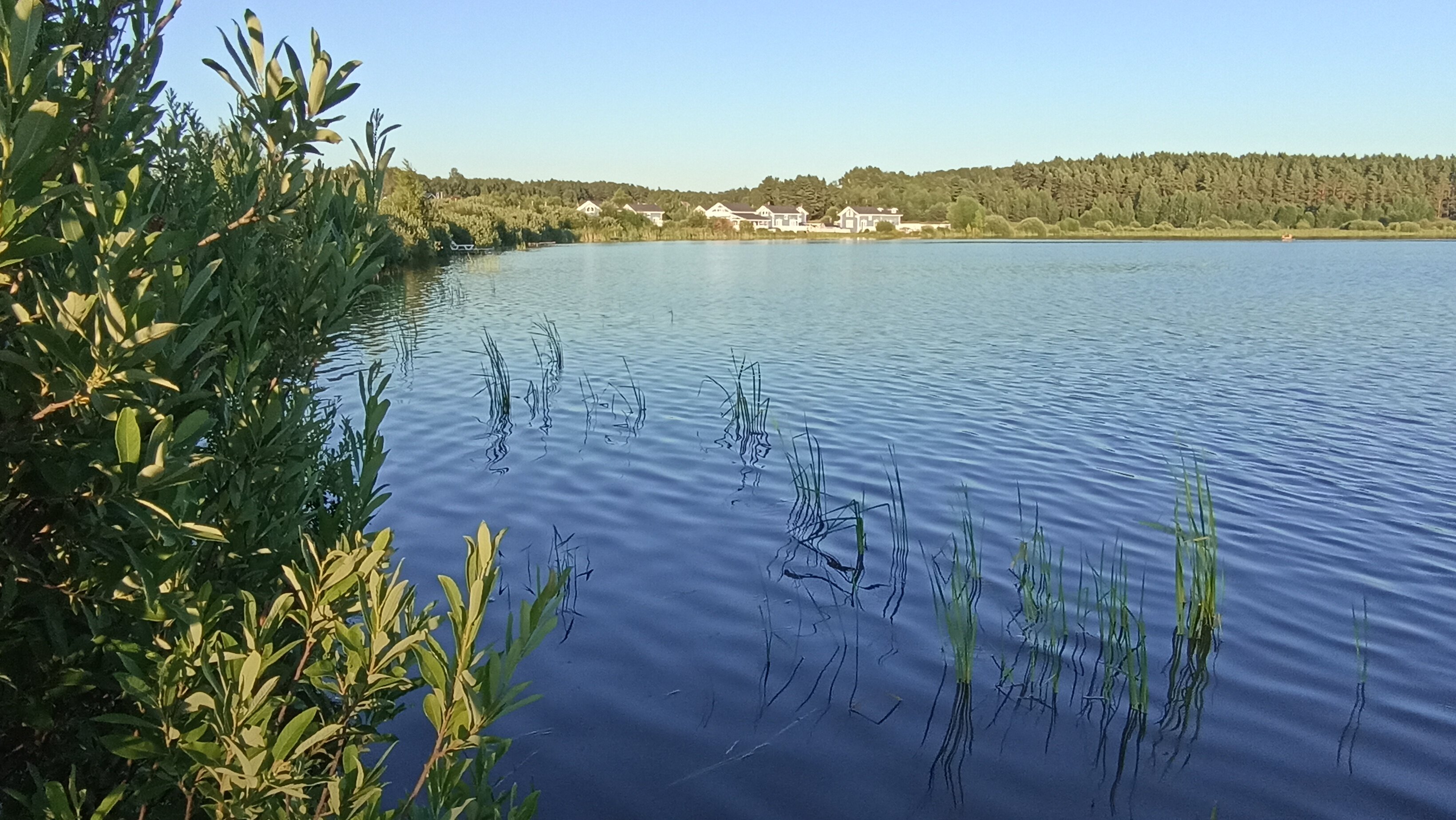 Фото Бора Боровск