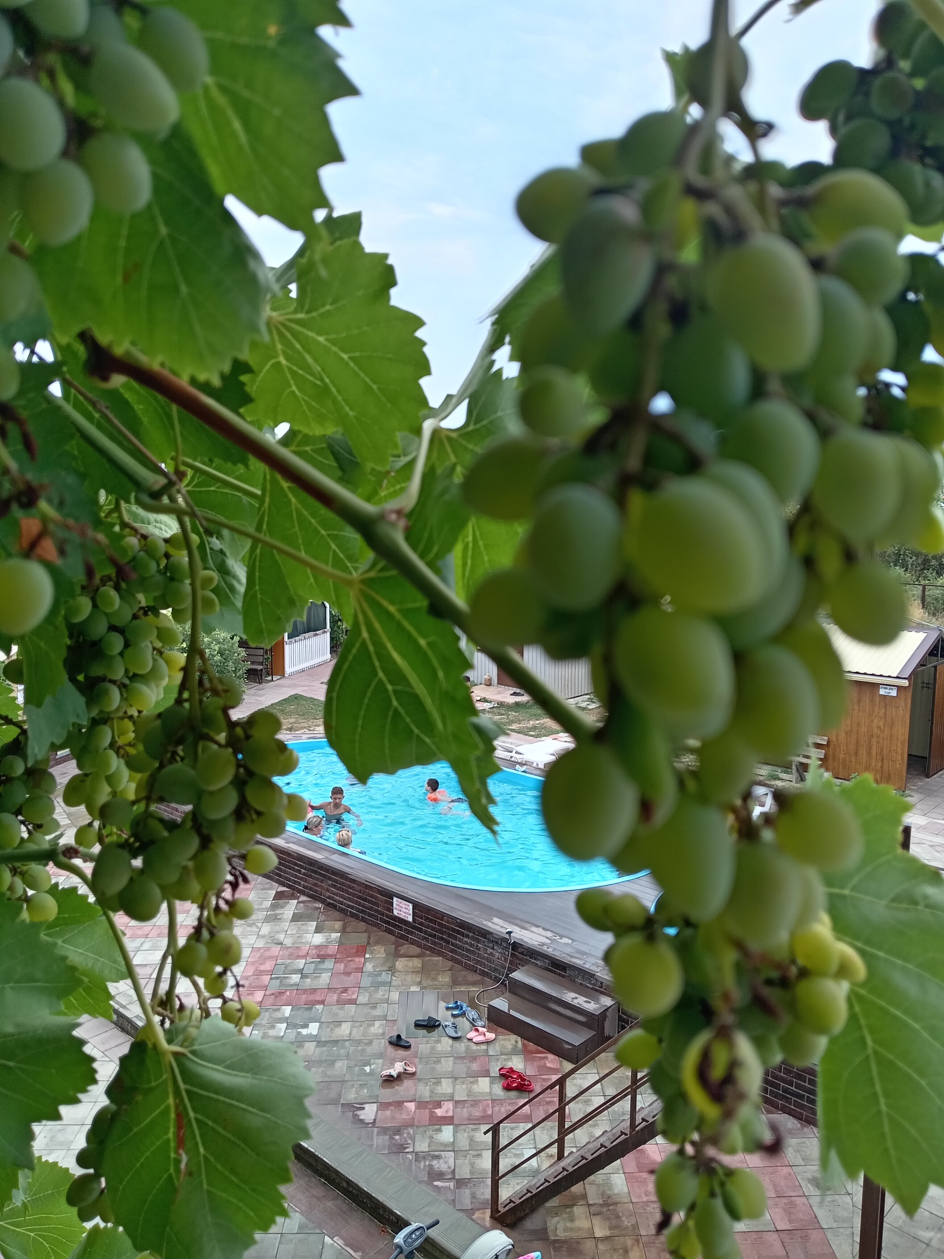 Фото Азовский Берег 1