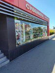 EnerGO (Urban-Type Settlement of Sirius, Voskresenskaya Street, 8), power bank rental