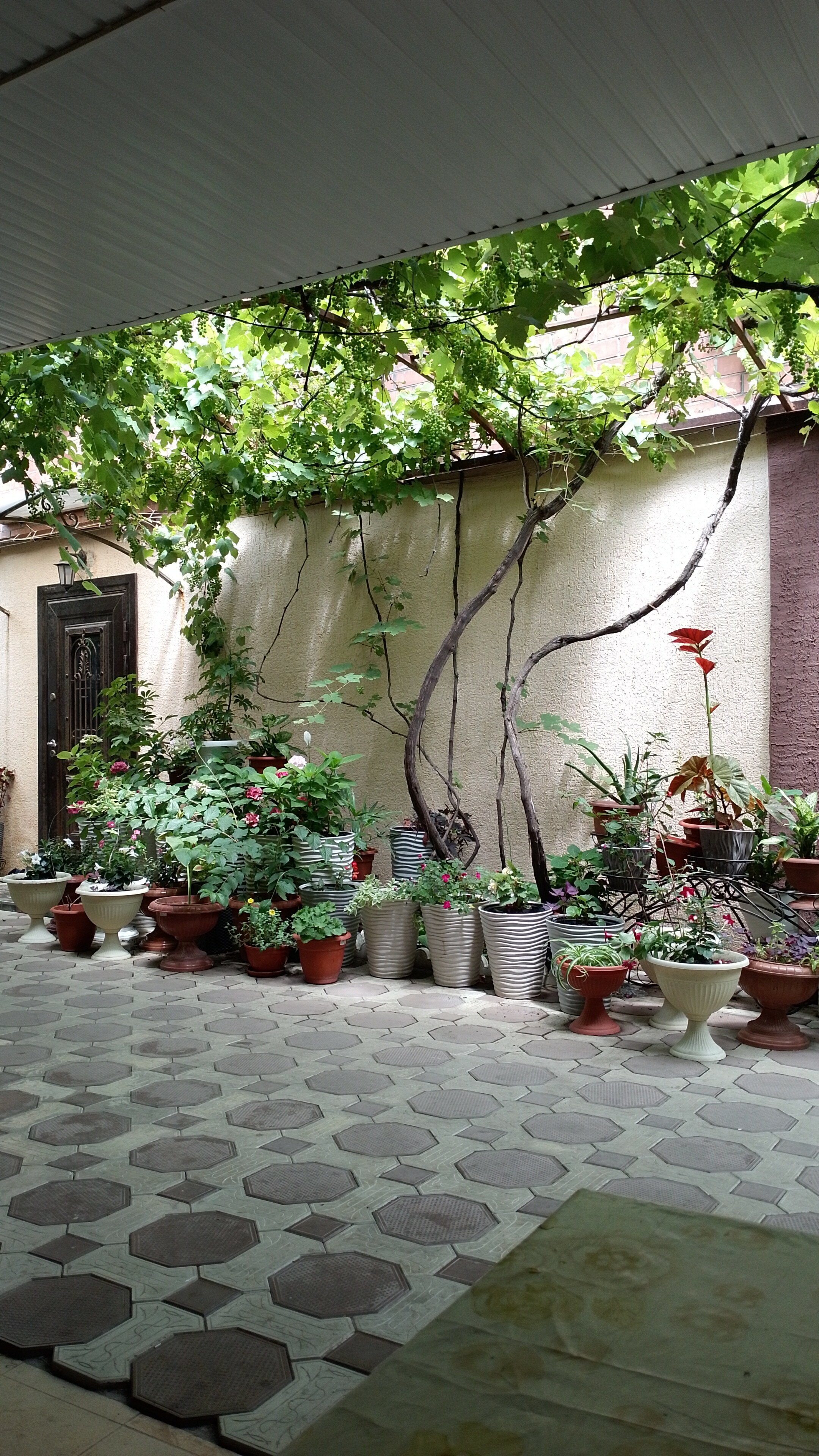 Фото Джубга Аленка